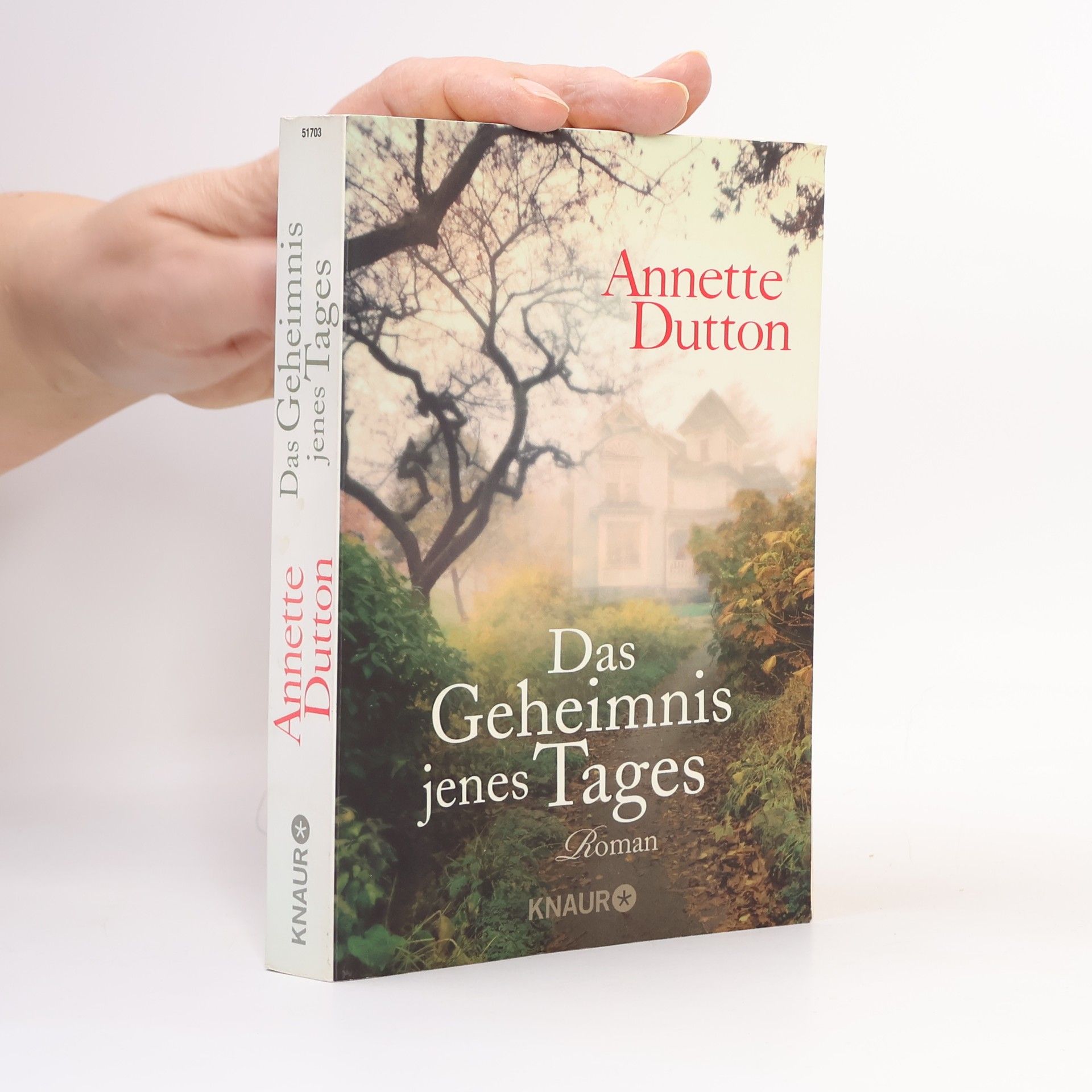 Annette Dutton Das Geheimnis jenes Tages