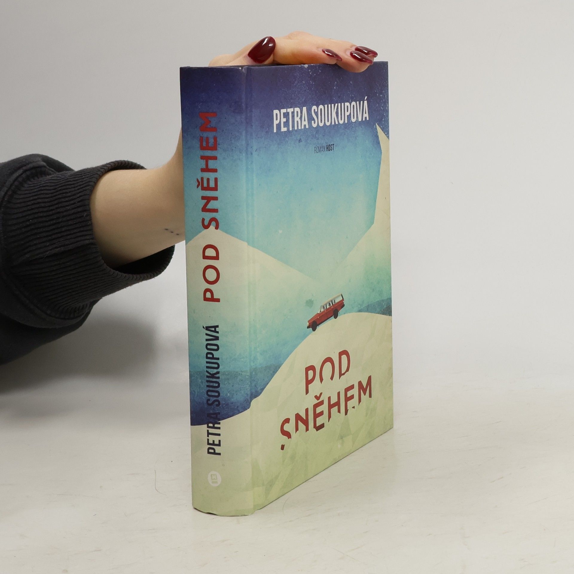 Petra Soukupová Pod sněhem