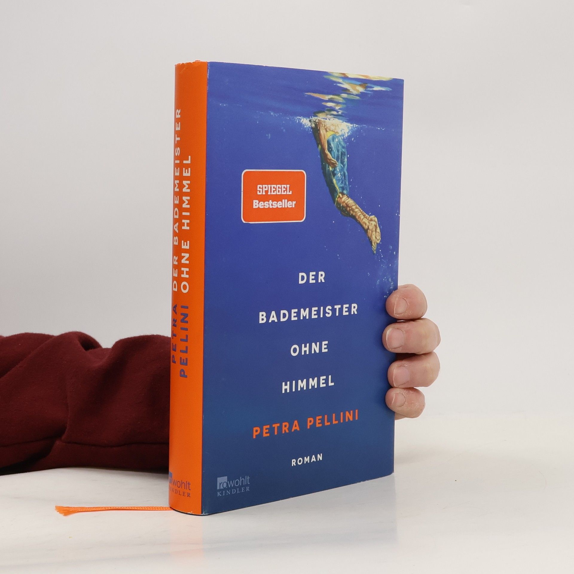 Petra Pellini Der Bademeister ohne Himmel