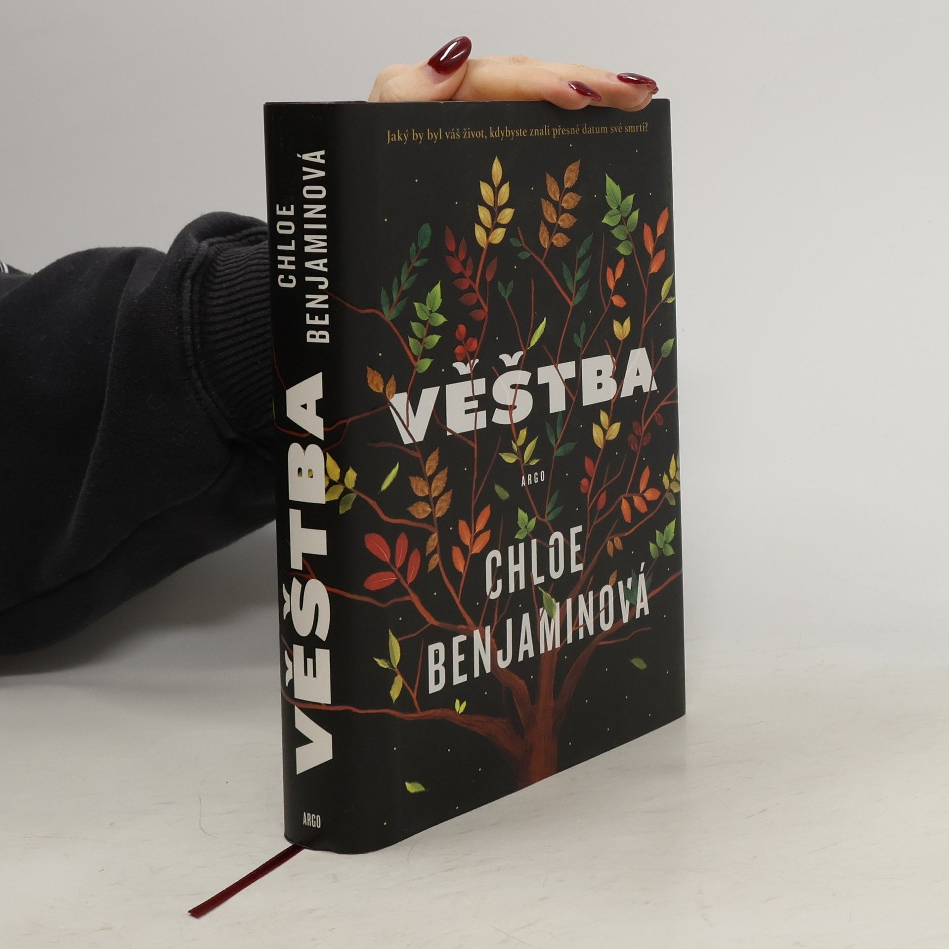 Chloe Benjamin Věštba