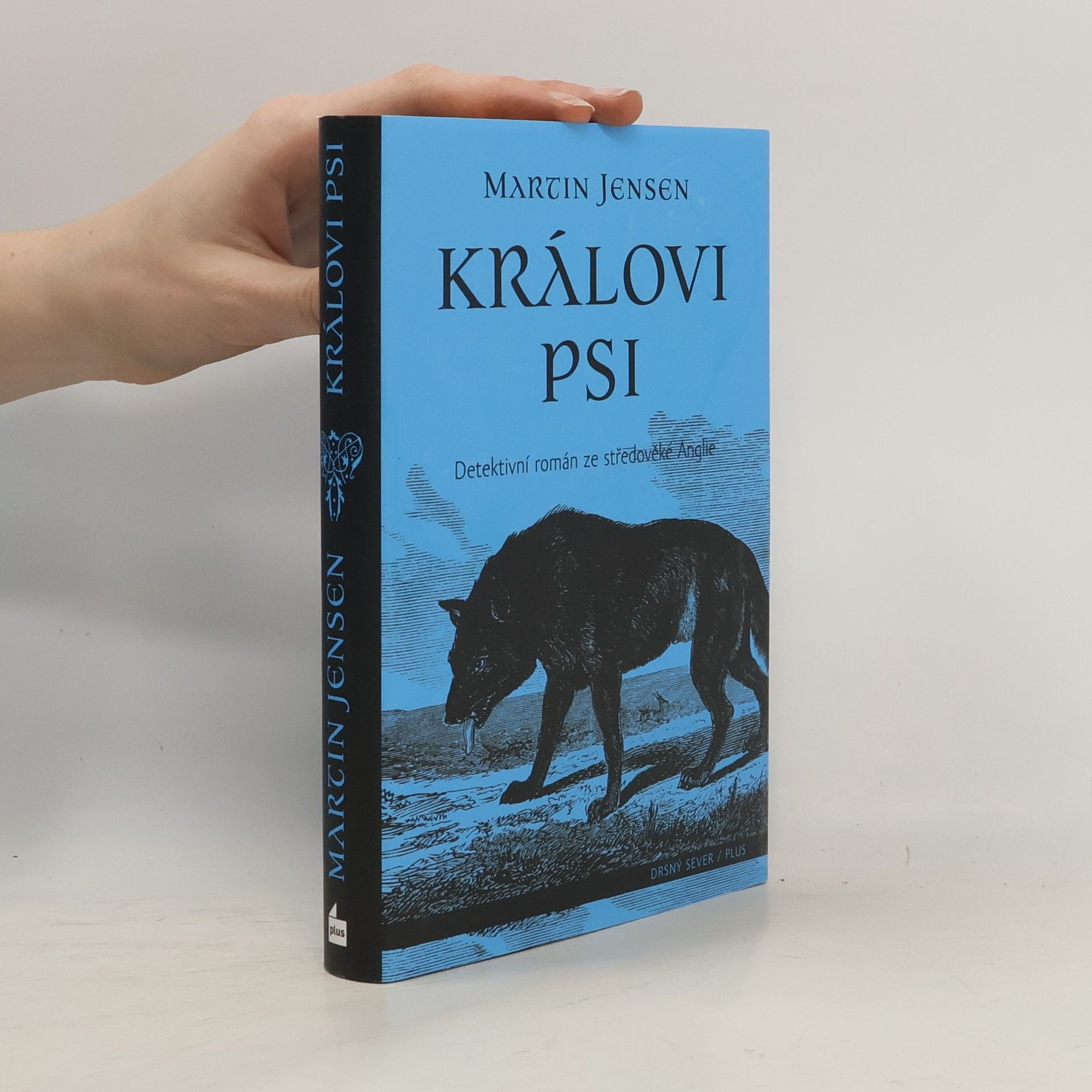 Martin Jensen Královi psi