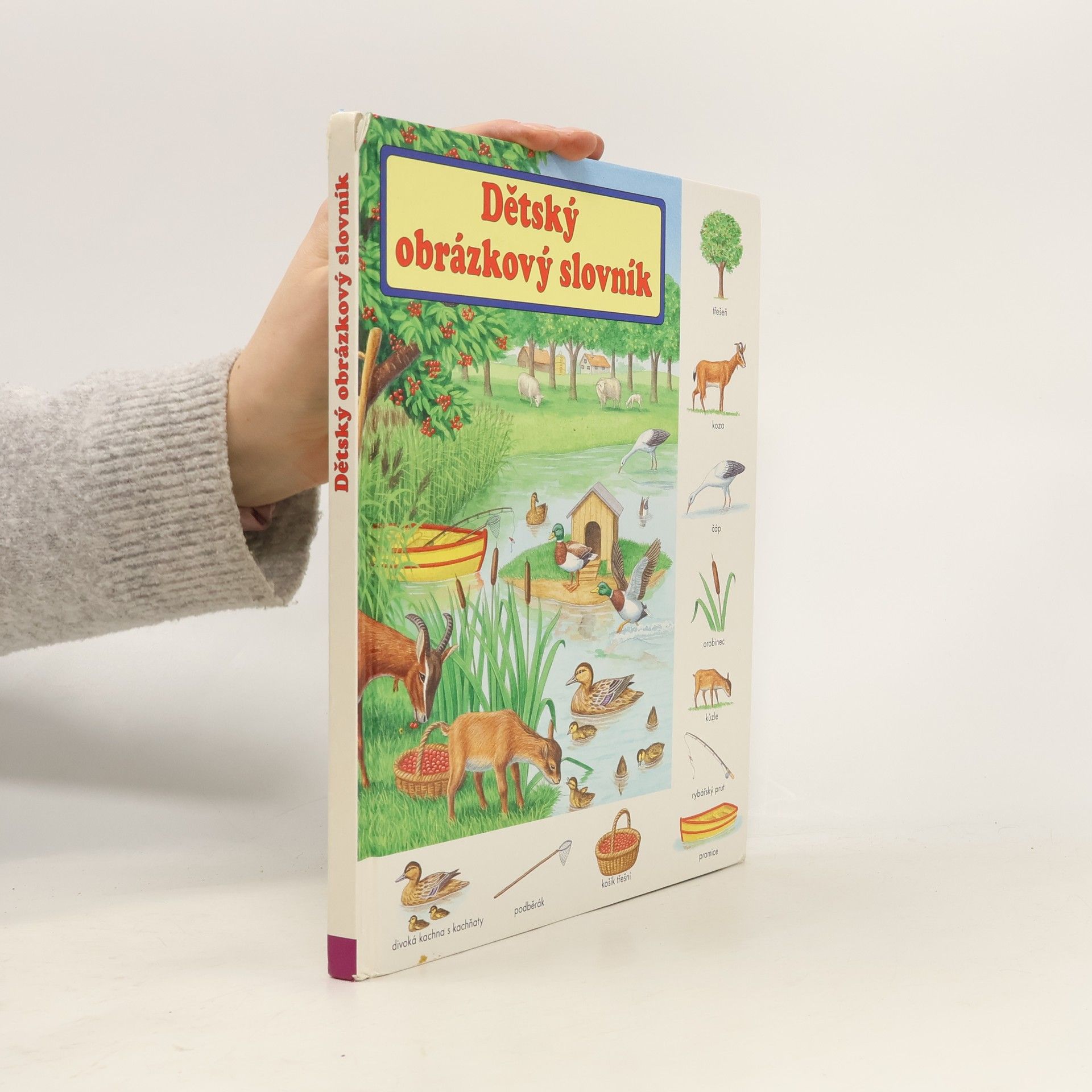 Gisela Fischer-Lingat Dětský obrázkový slovník