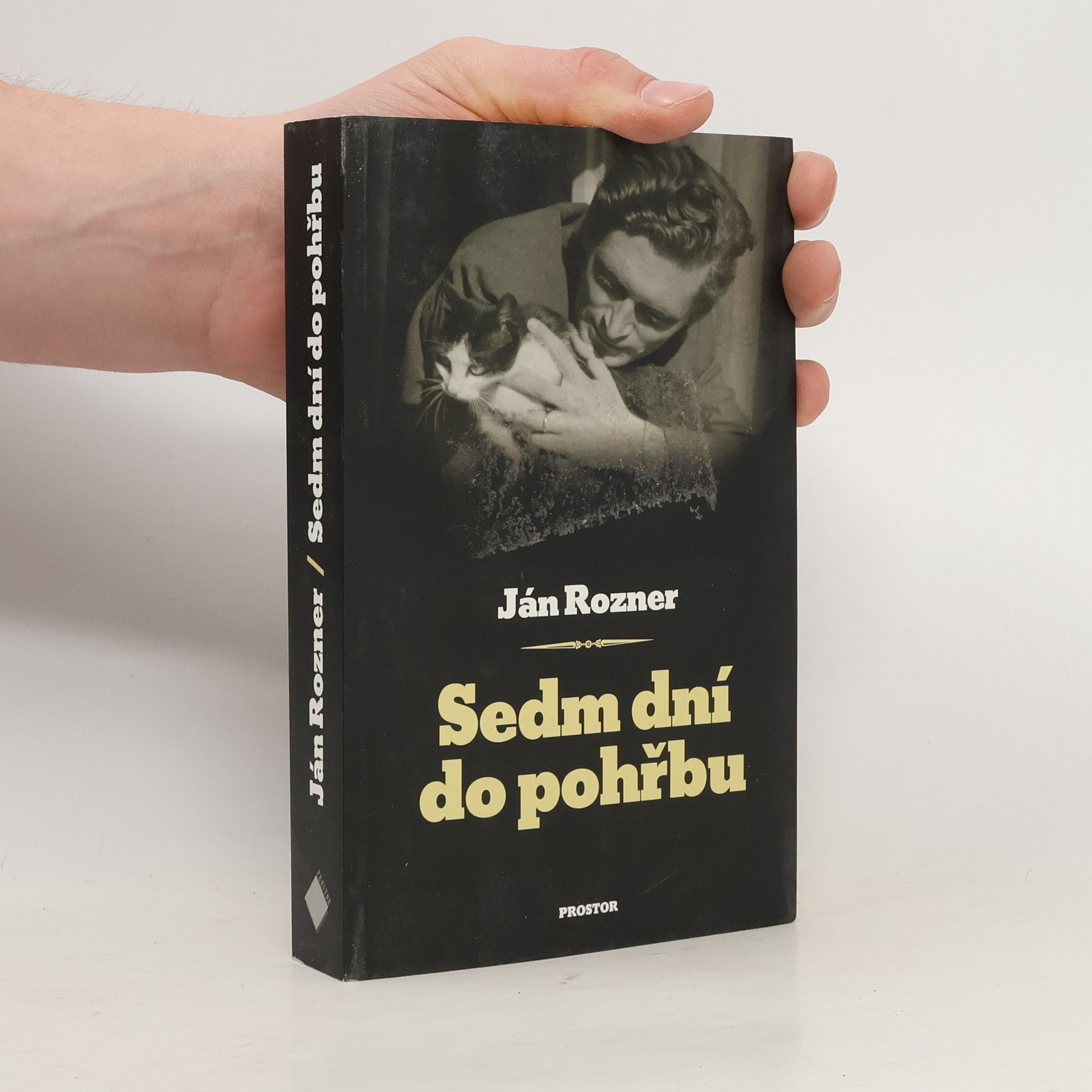 Ján Rozner Sedm dní do pohřbu