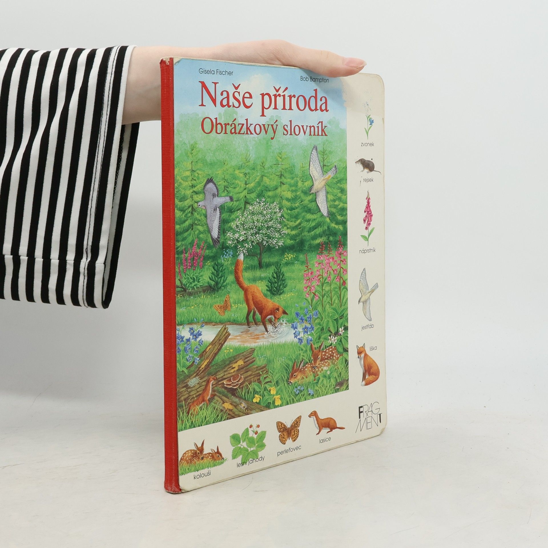 Gisela Fischer-Lingat Naše příroda: Obrázkový slovník