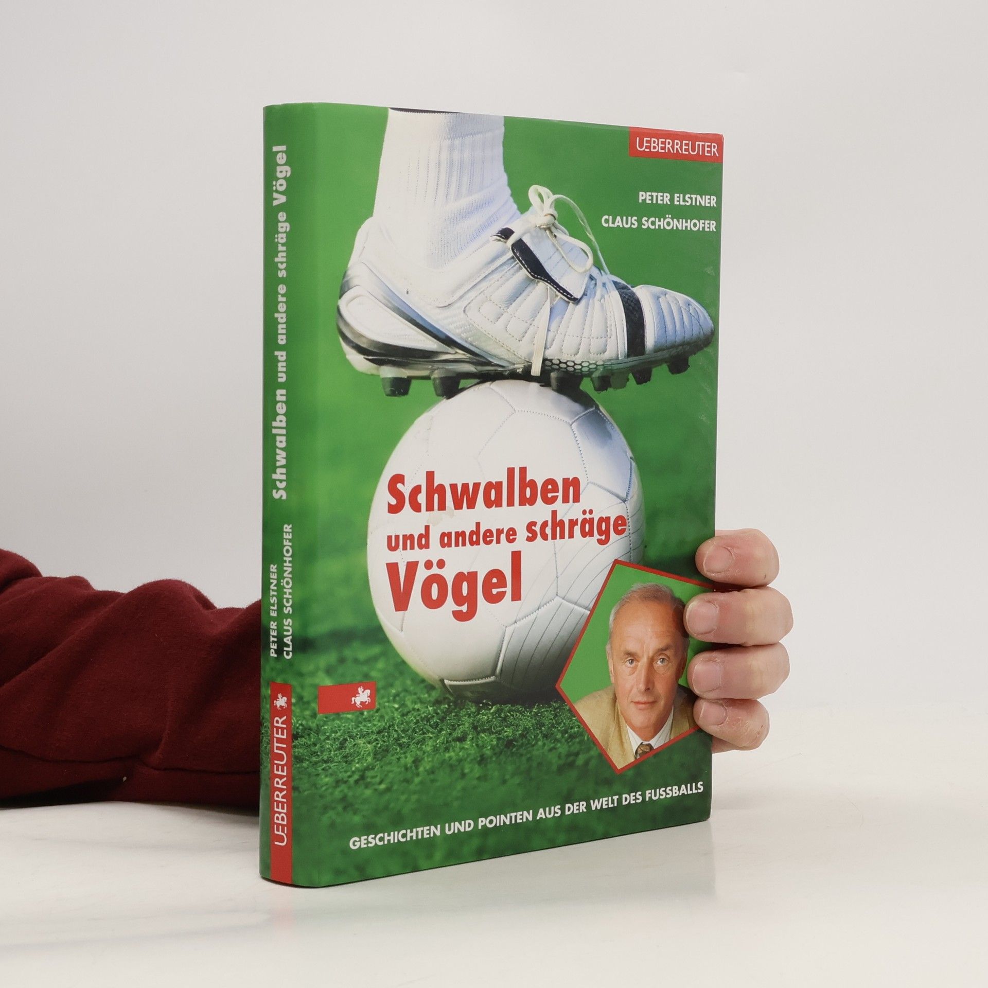 Peter Elstner Schwalben und andere schräge Vögel