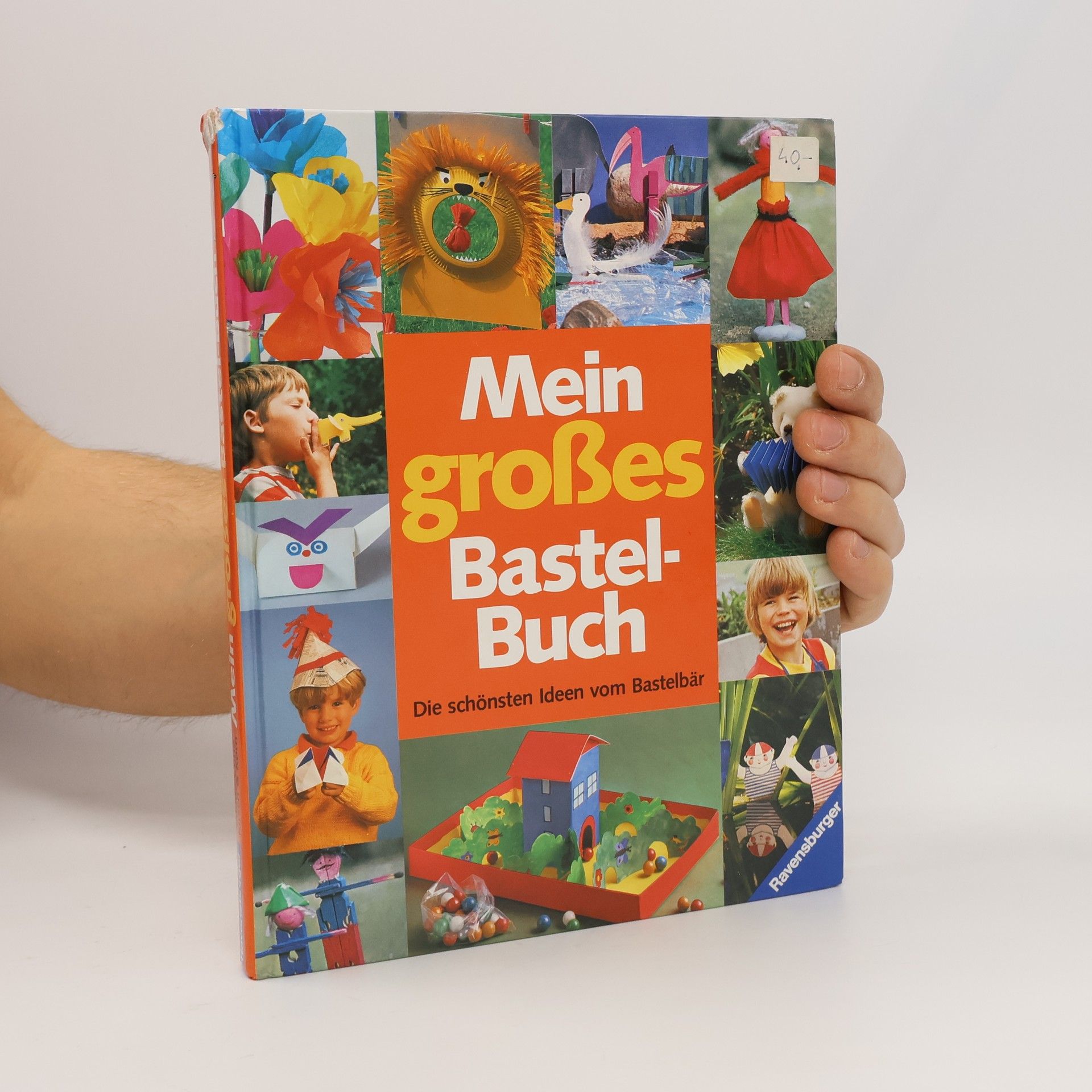 Kolektiv autorů Mein grosses Bastelbuch