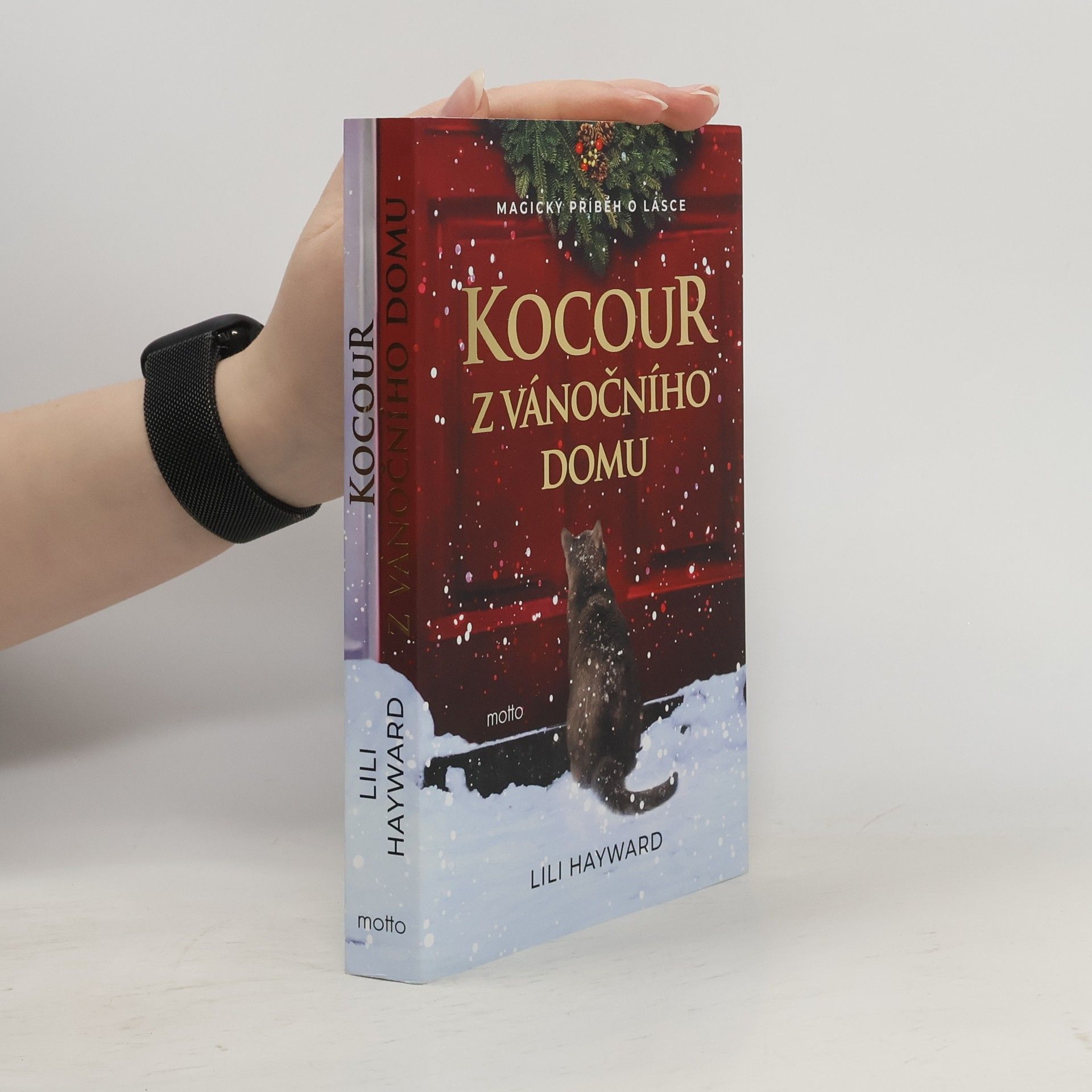 Lili Hayward Kocour z vánočního domu