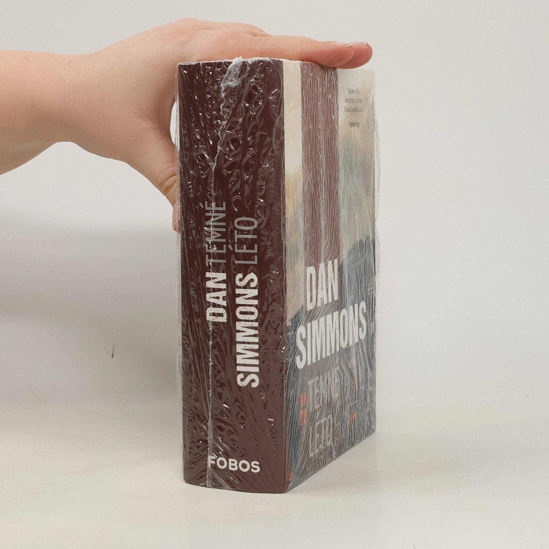 Dan Simmons Temné léto