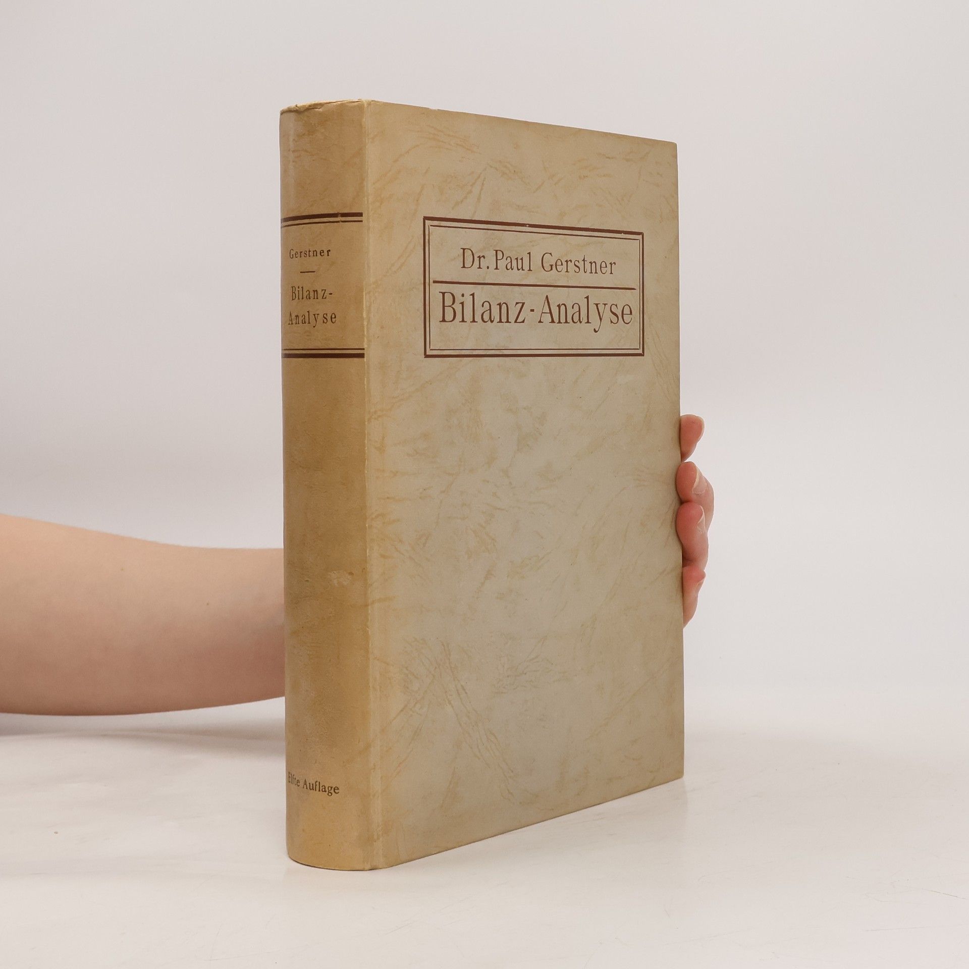 Paul Gerstner Bilanz-Analyse