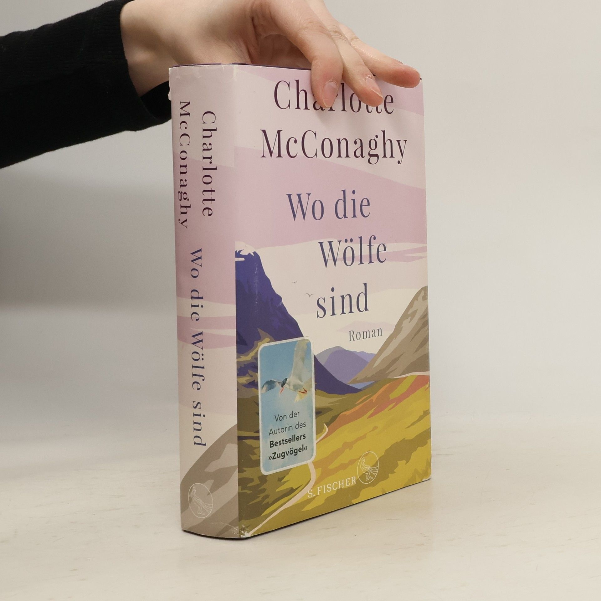 CHARLOTTE. MCCONAGHY Wo die Wölfe sind