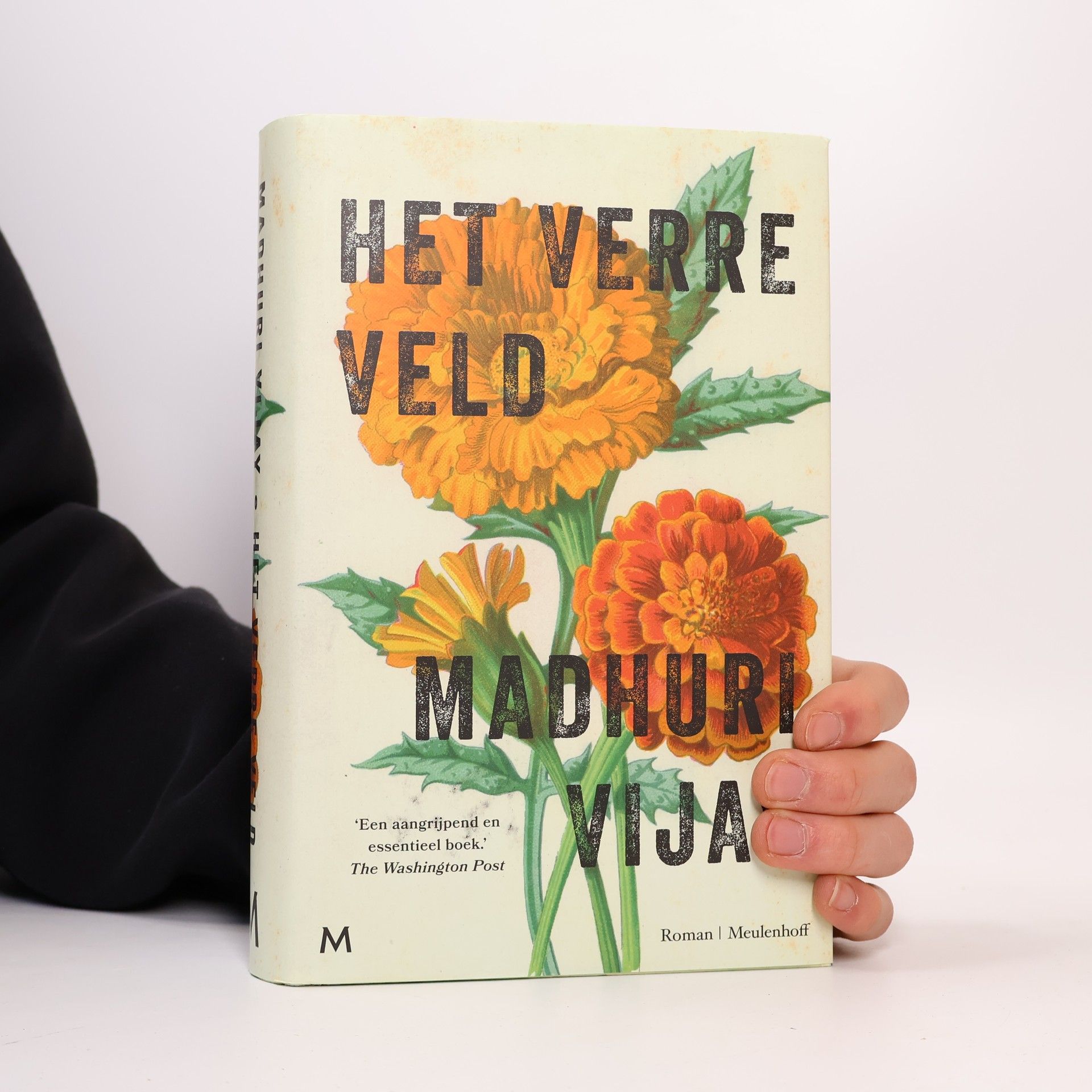 Madhuri Vijay Het verre veld