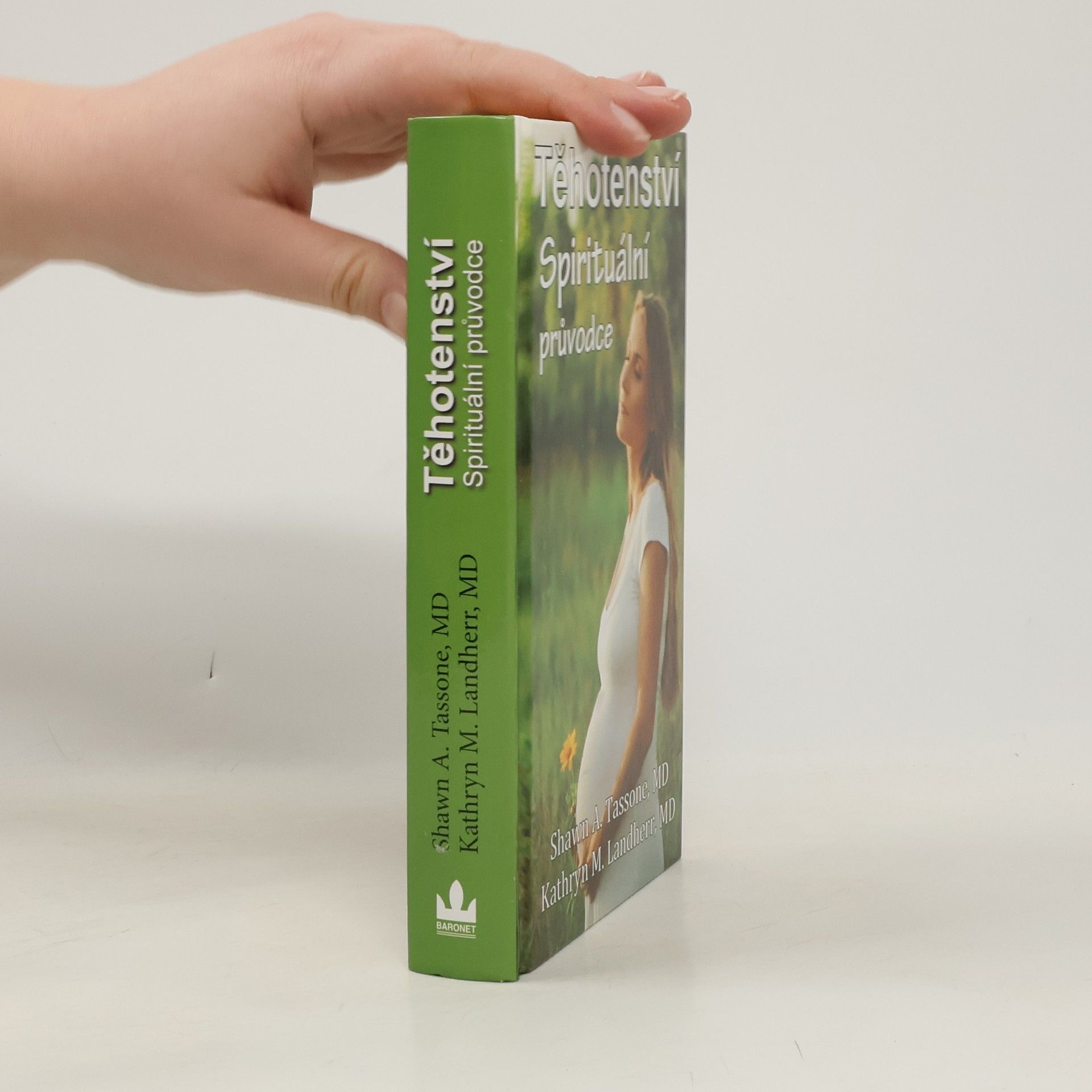 Shawn A. Tassone Těhotenství. Spirituální průvodce