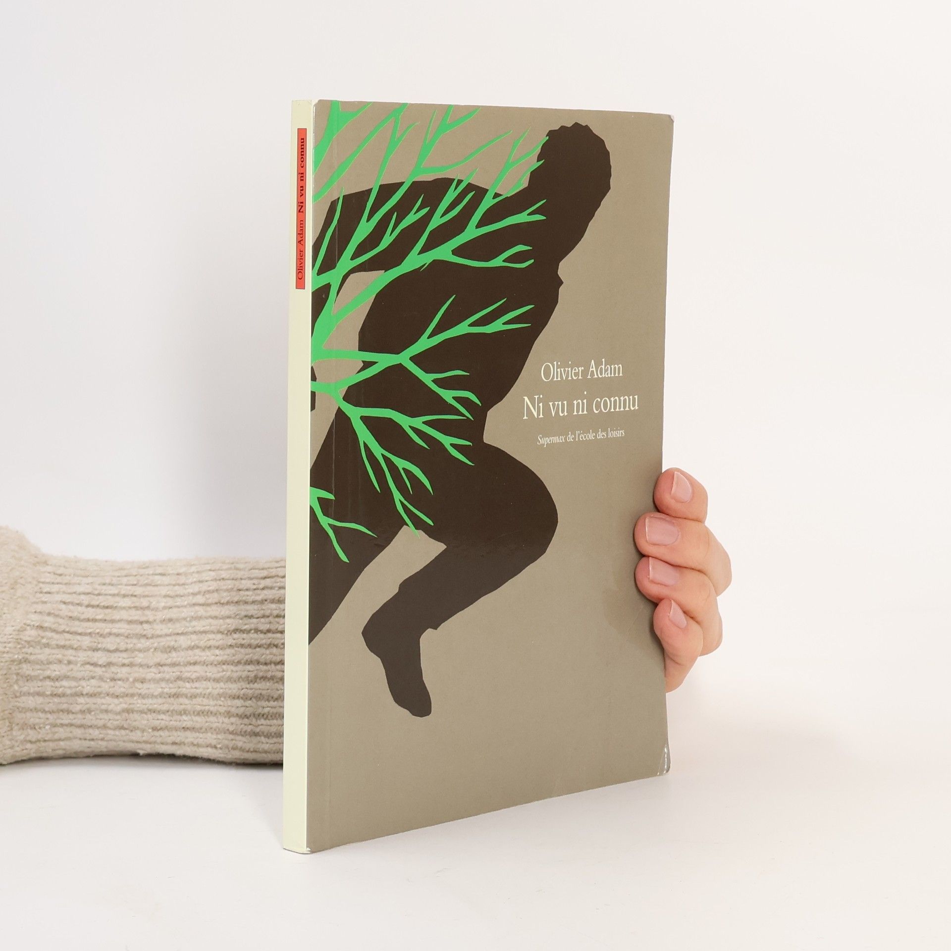 Olivier Adam Ni vu ni connu