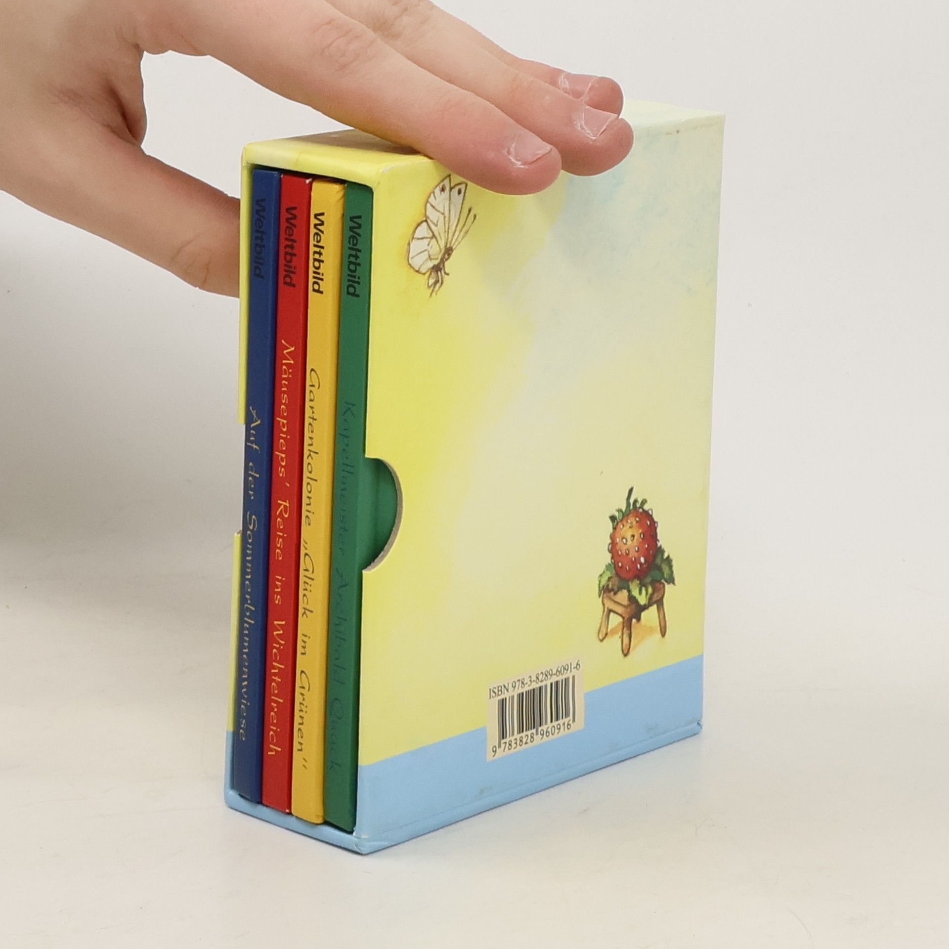 Various authors Auf der Sommerblumenwiese