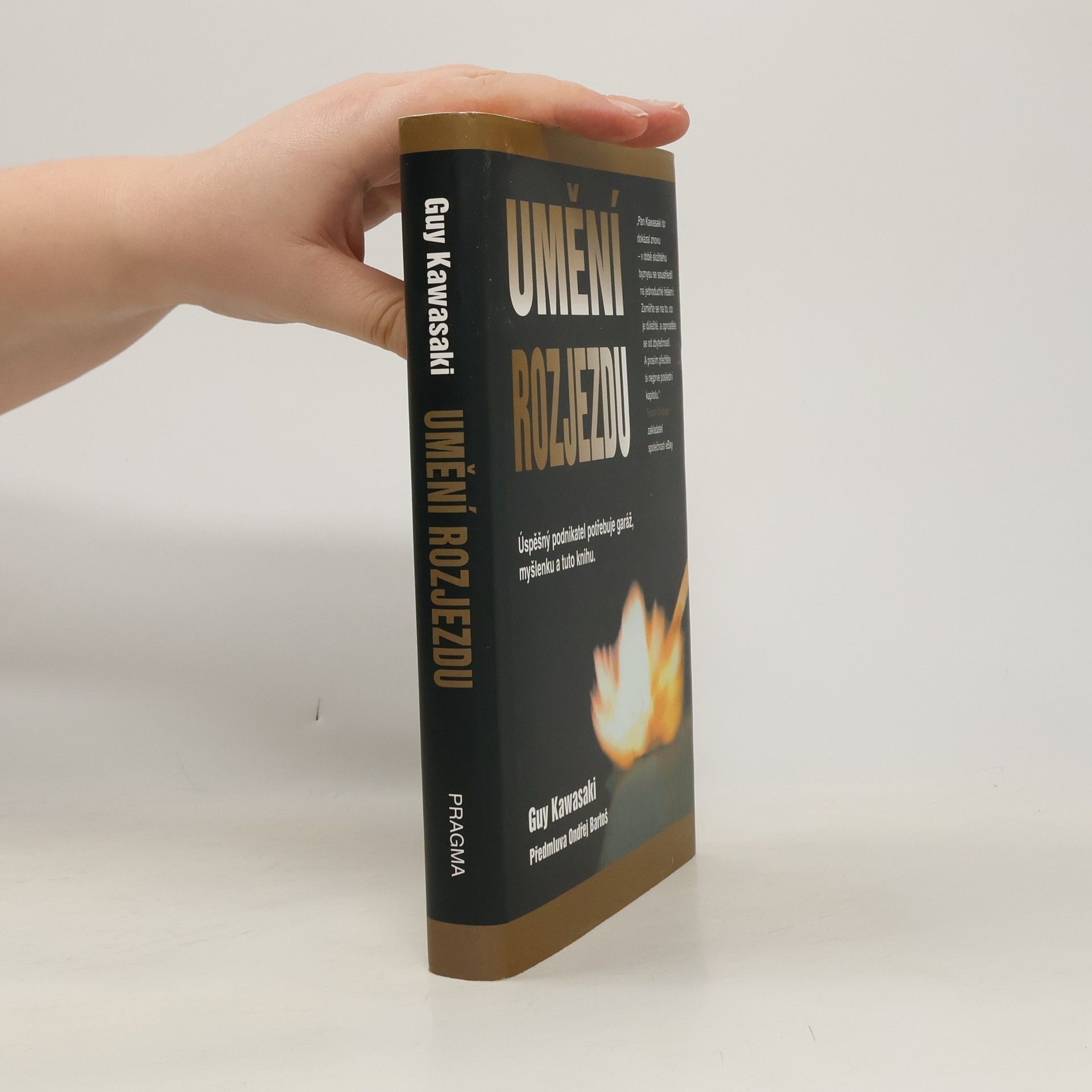 Guy Kawasaki Umění rozjezdu