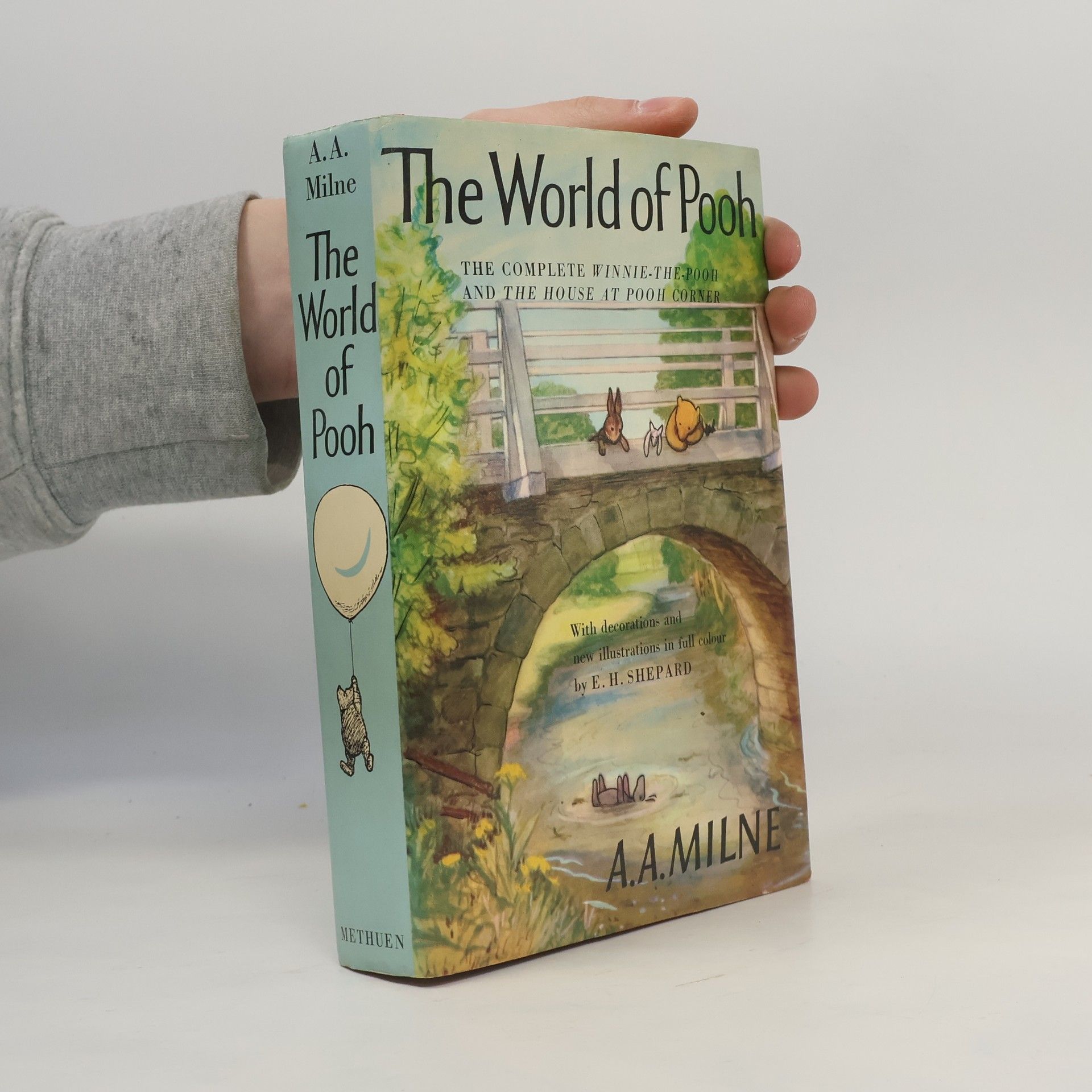 A. A. Milne The World of Pooh