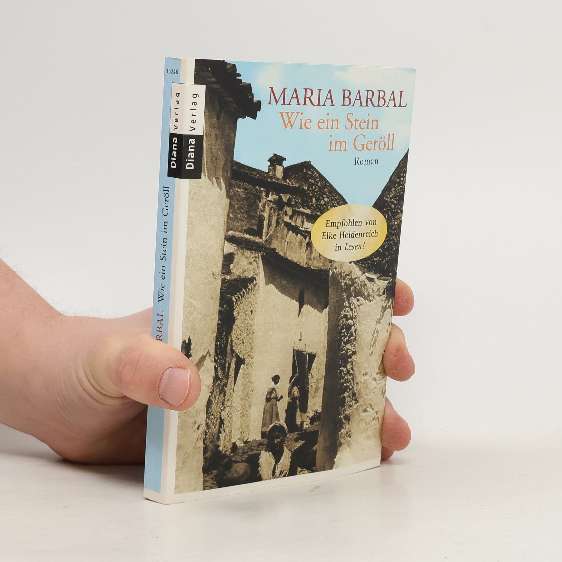 Maria Barbal Wie ein Stein im Geröll