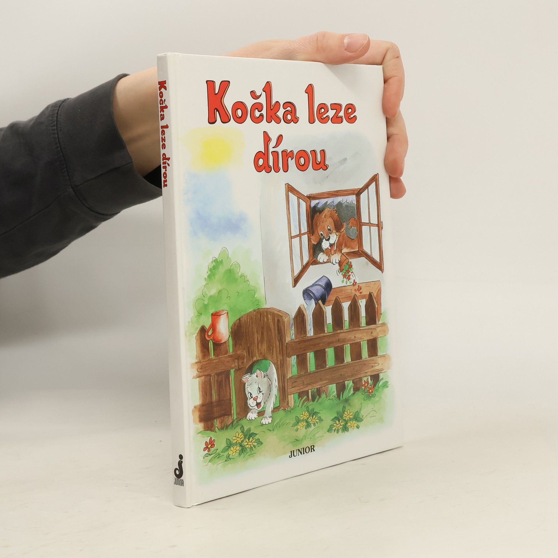 Vladimíra Vopičková Kočka leze dírou