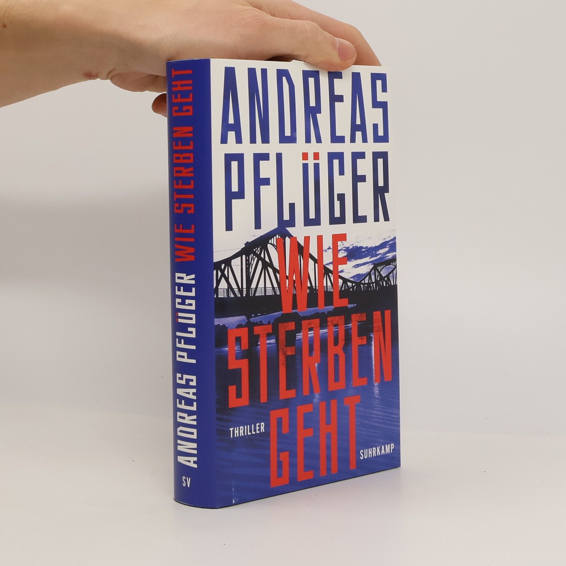 Andreas Pflüger Wie Sterben geht