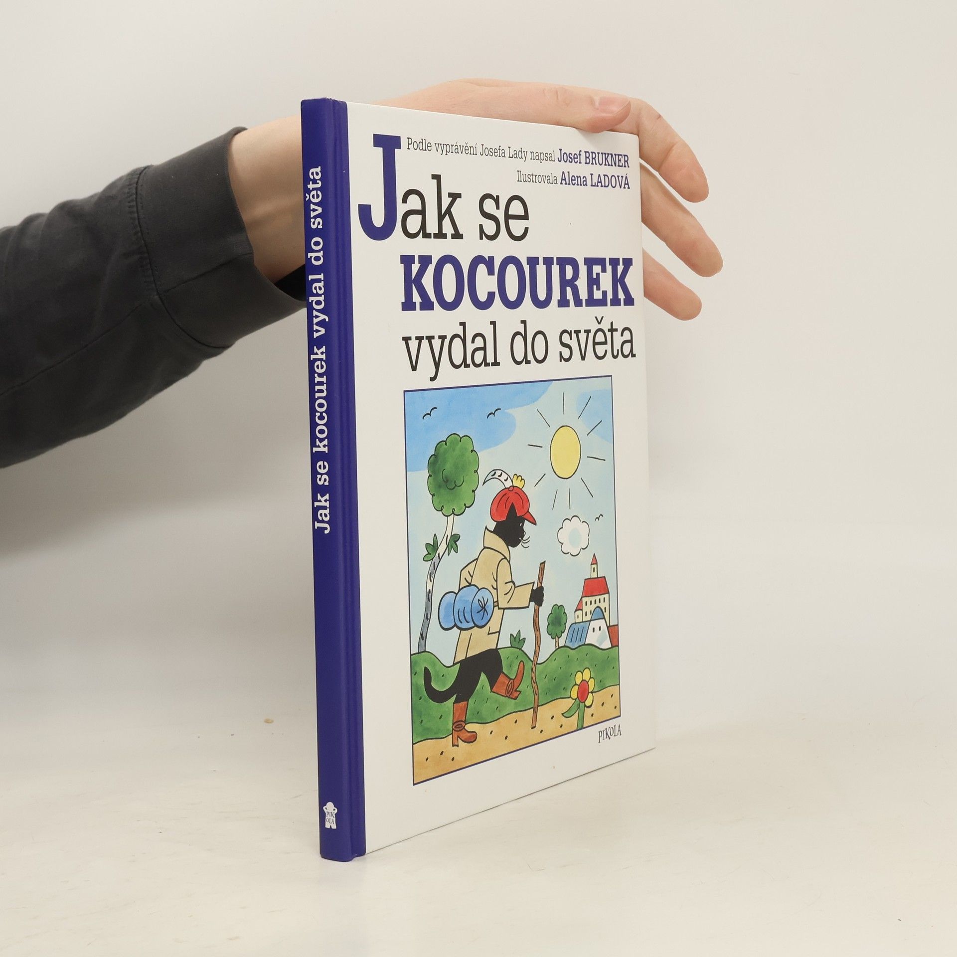 Jak se kocourek vydal do světa