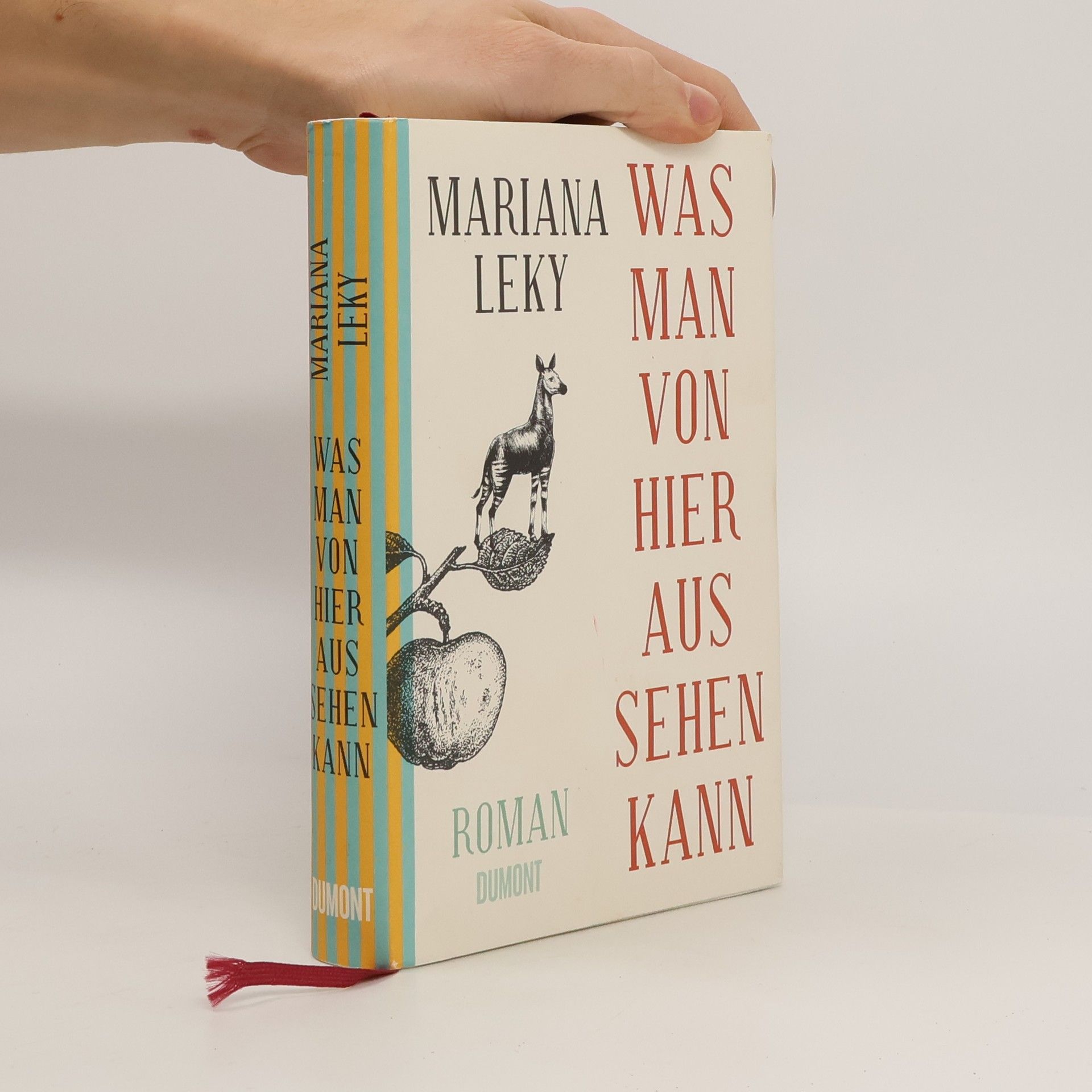 Mariana Leky Was man von hier aus sehen kann
