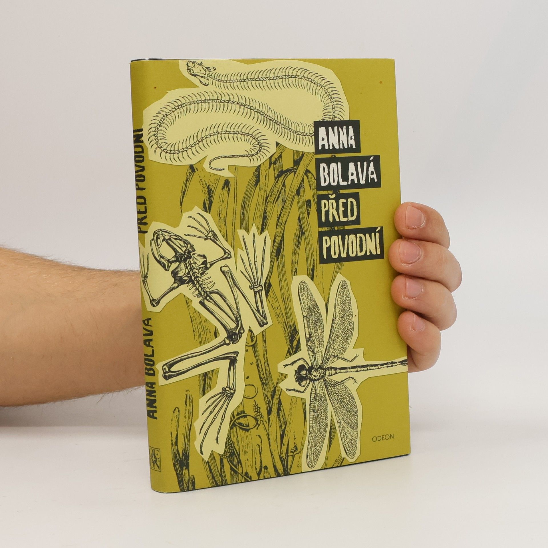 Anna Bolavá Před povodní