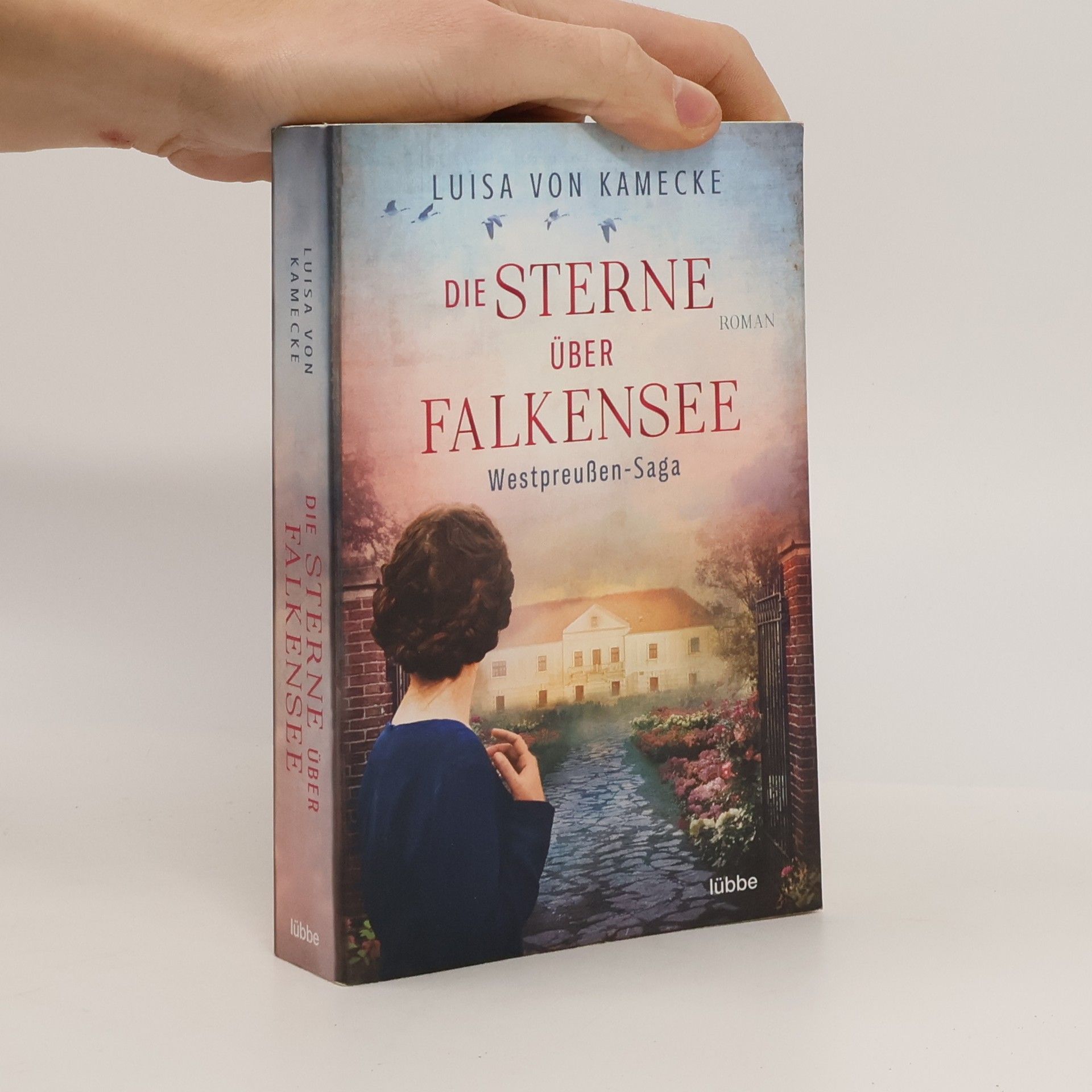 Luisa von Kamecke Die Sterne über Falkensee