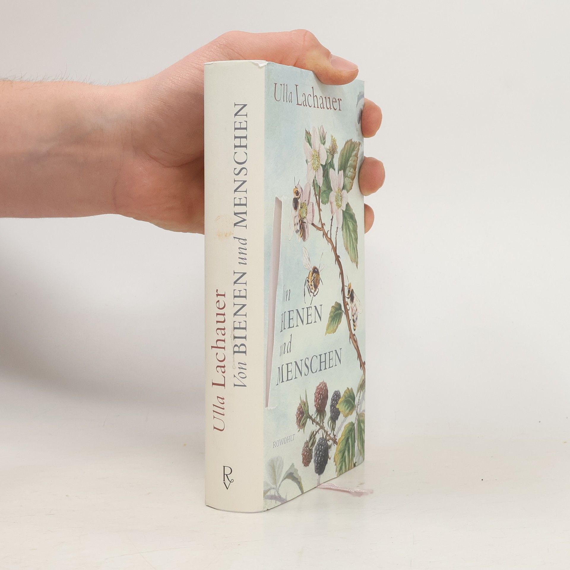 Von Bienen und Menschen