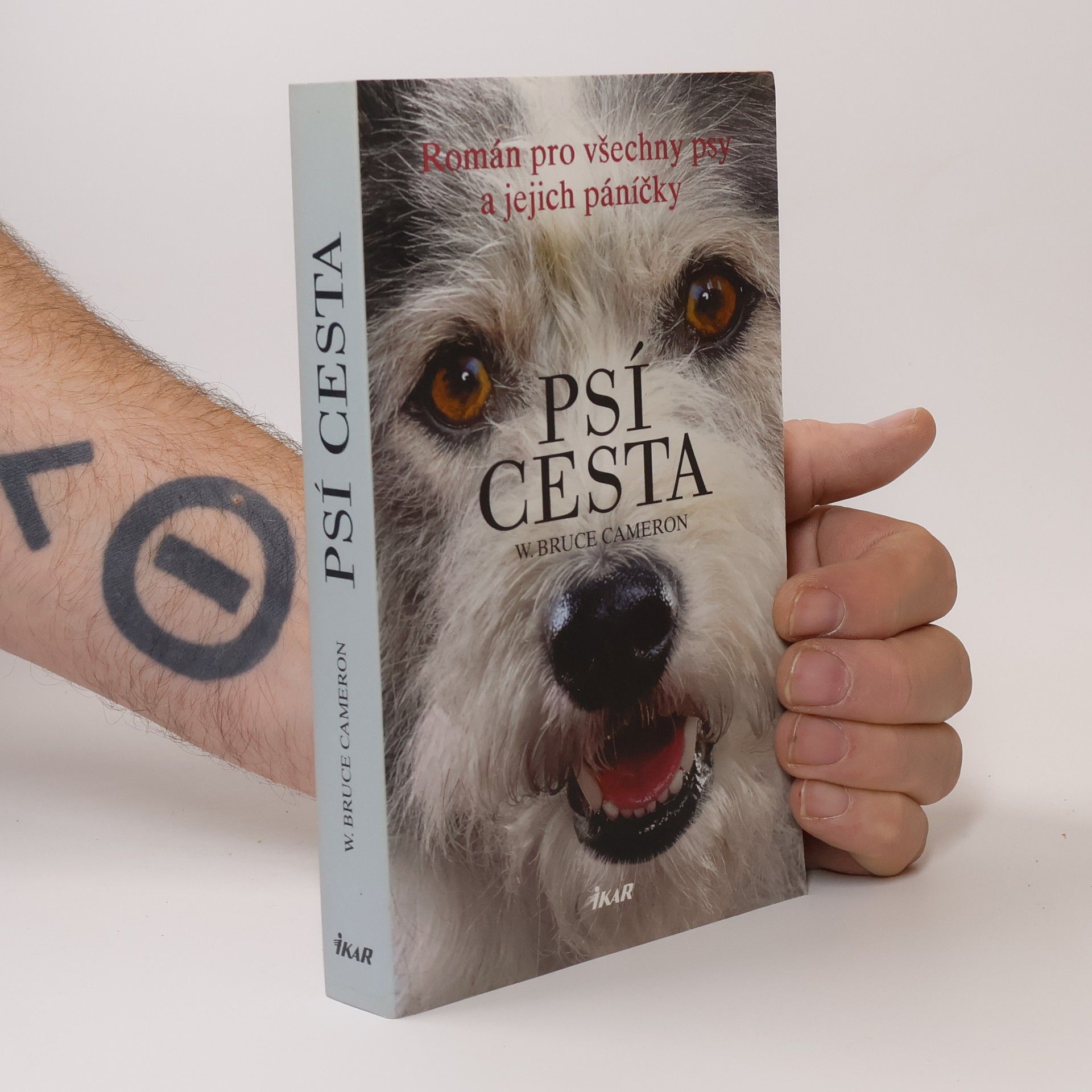 W. Bruce Cameron Psí cesta