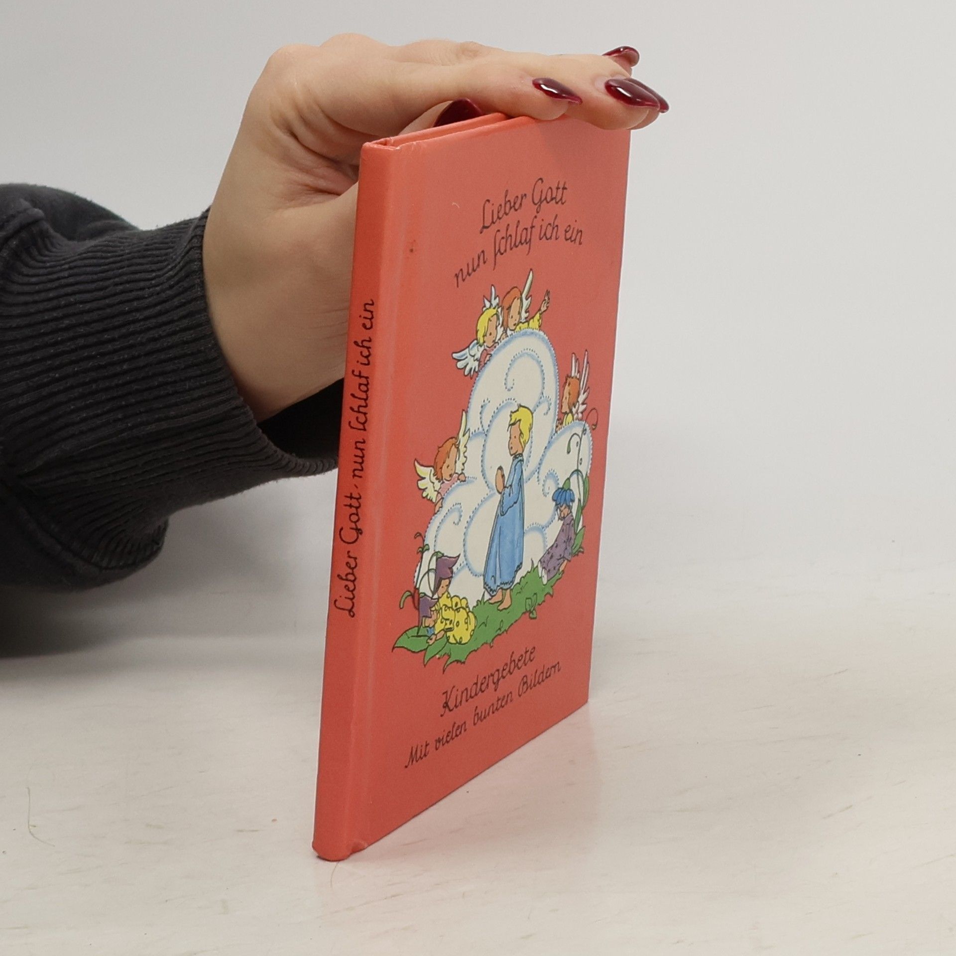 Marianne Pfenningstorff Lieber Gott, nun schlaf ich ein