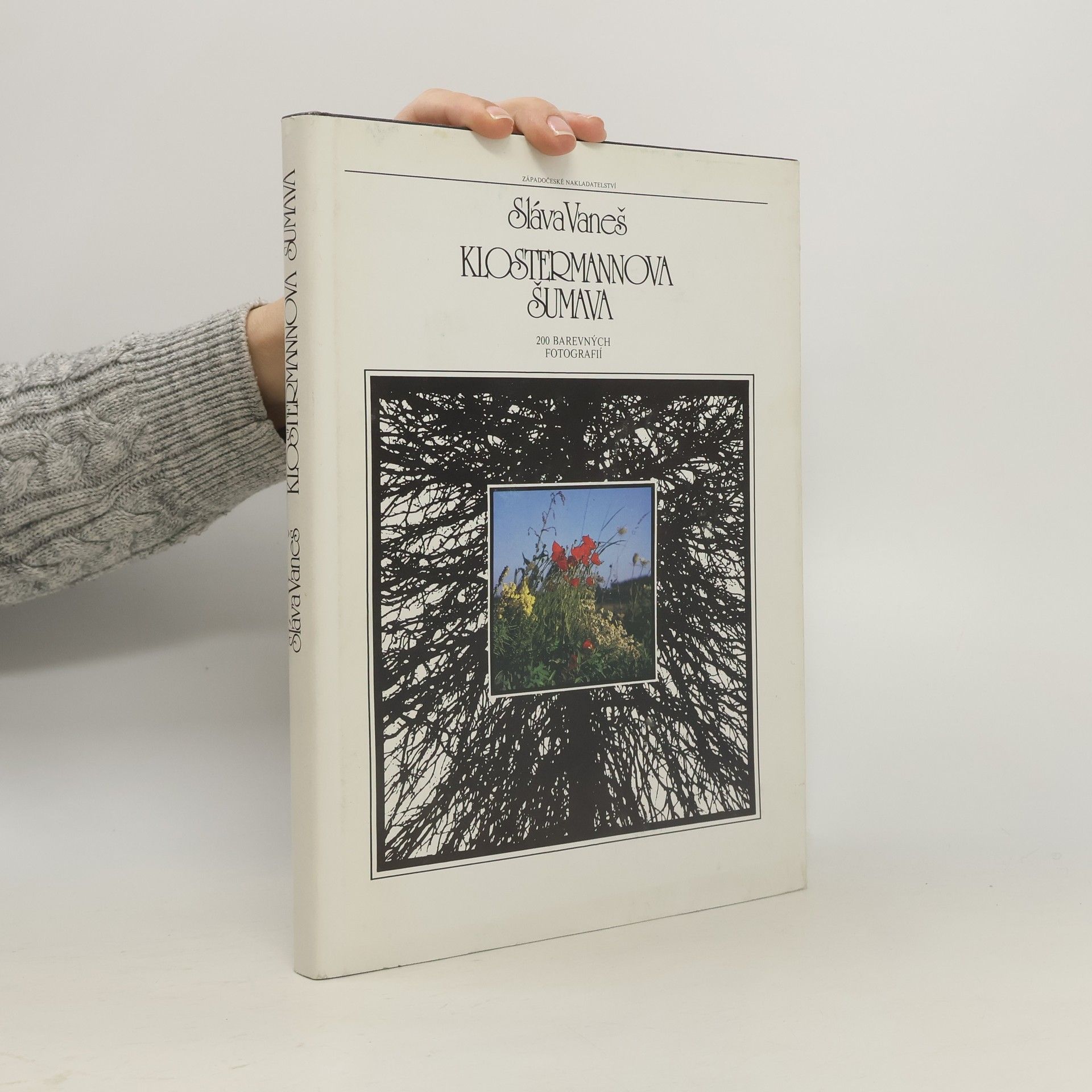 Vaneš Sláva Klostermannova Šumava
