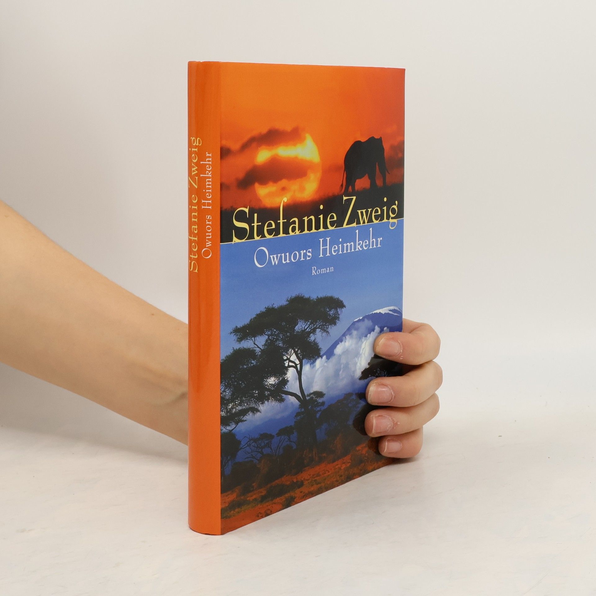 Stefanie Zweig Owuors Heimkehr