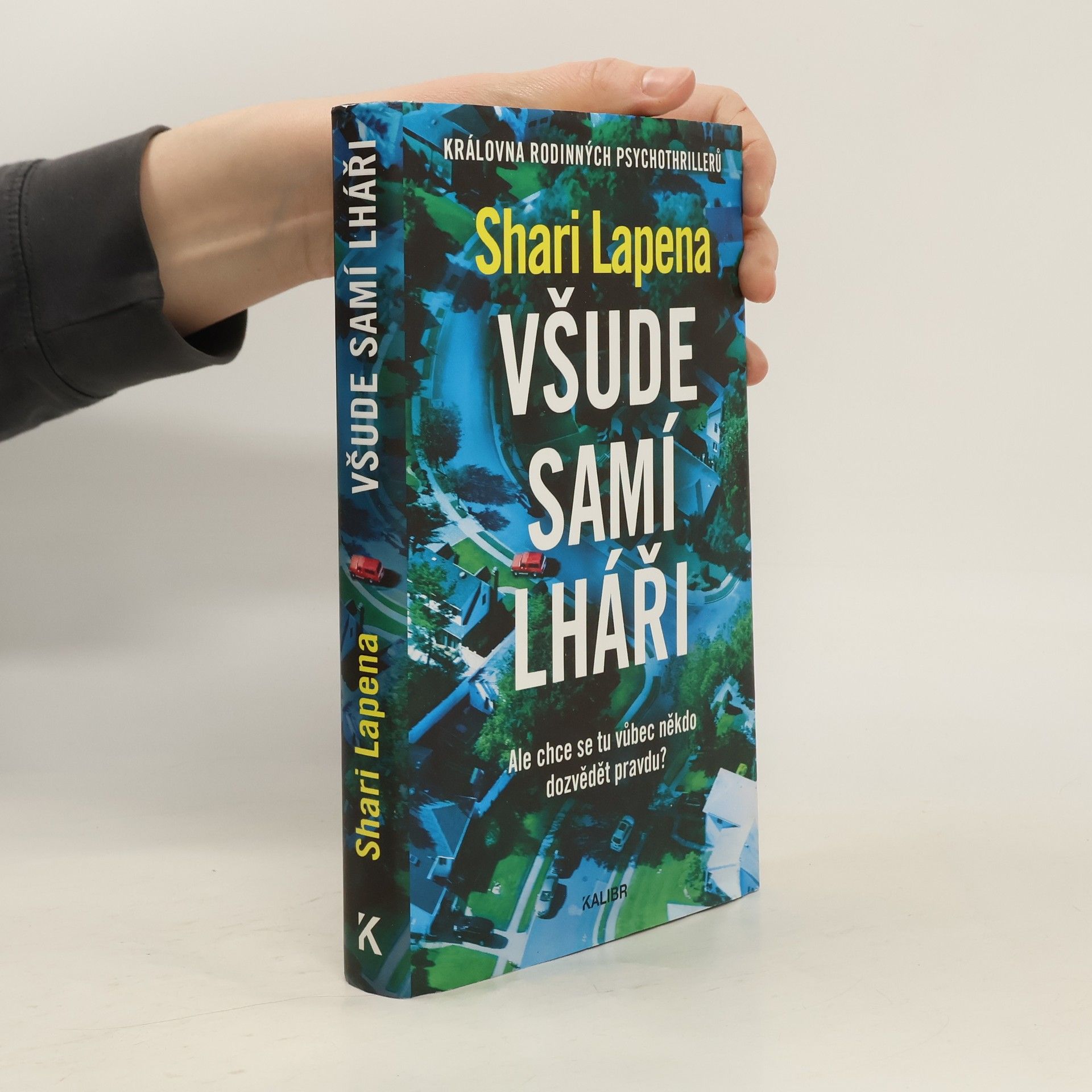 Shari Lapena Všude samí lháři