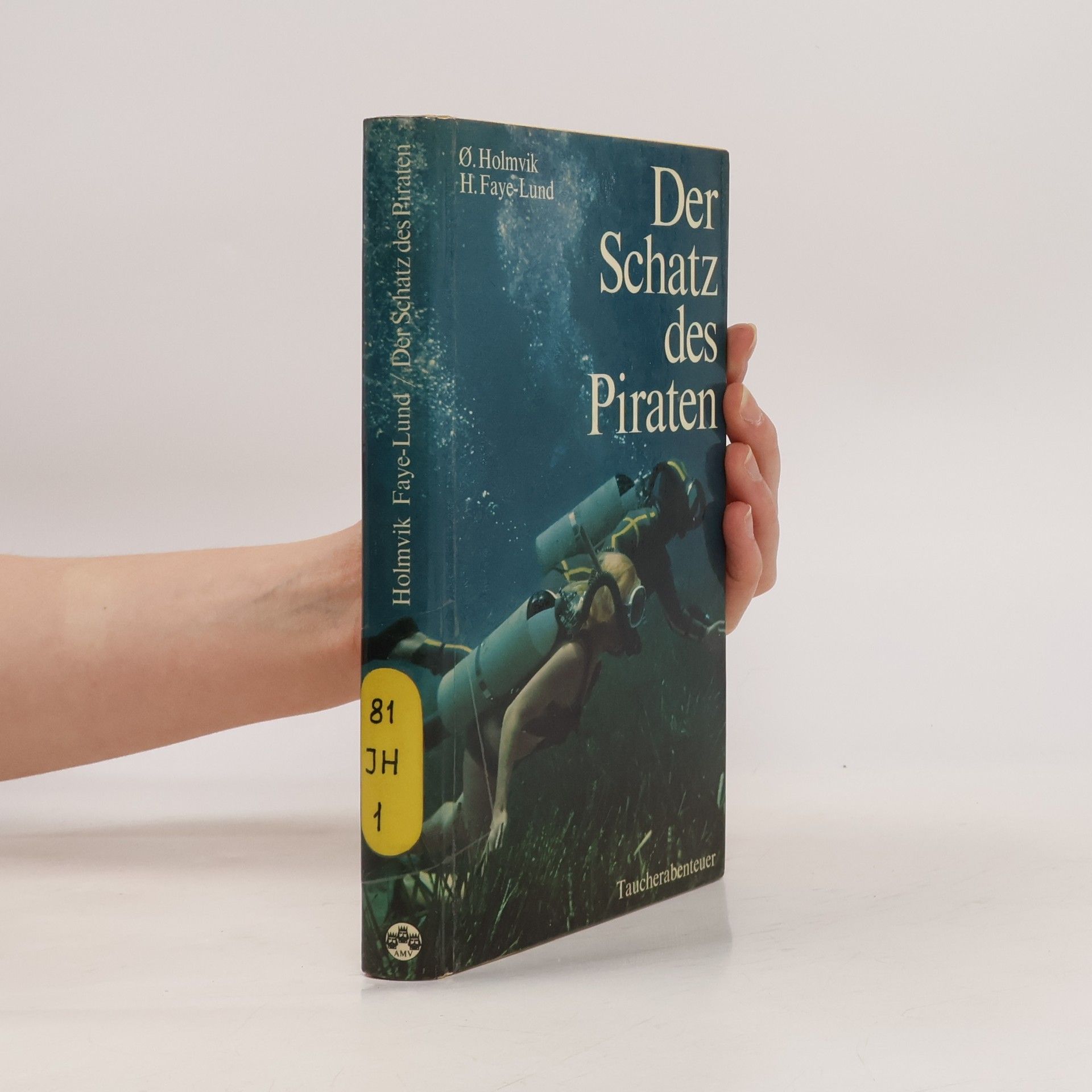 Ø. Holmvik  Der Schatz des Piraten