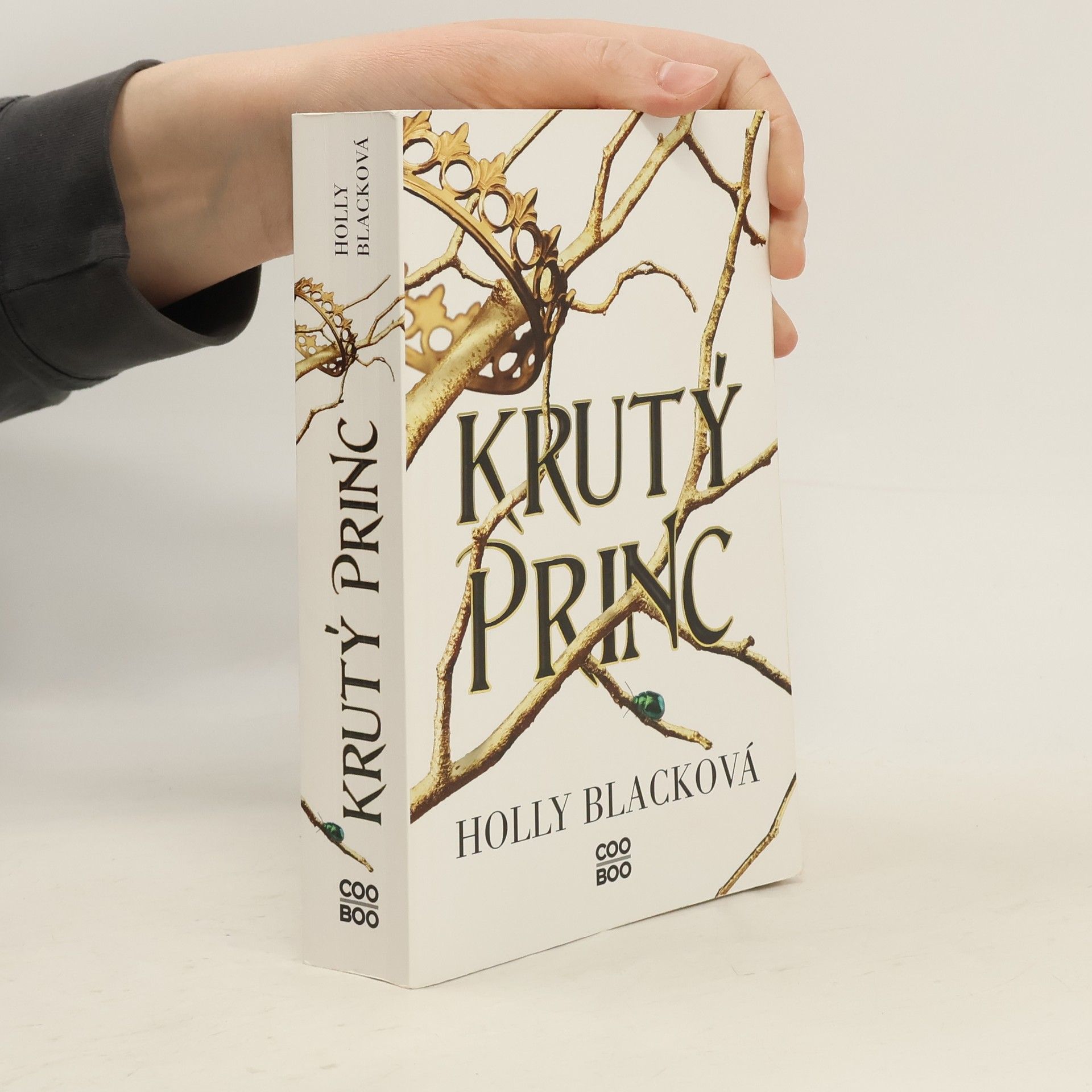 Holly Black Krutý princ