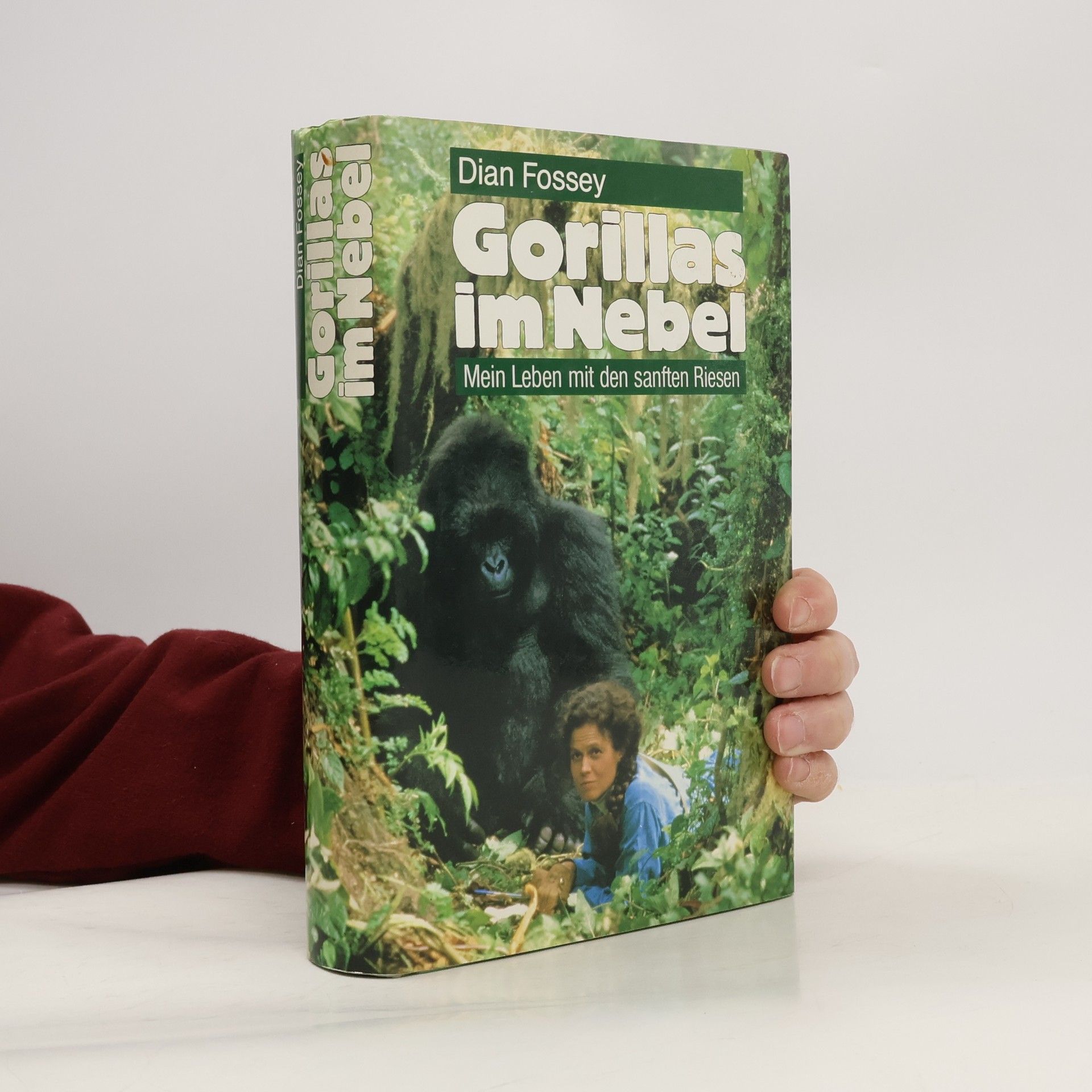 Dian Fossey Gorillas im Nebel