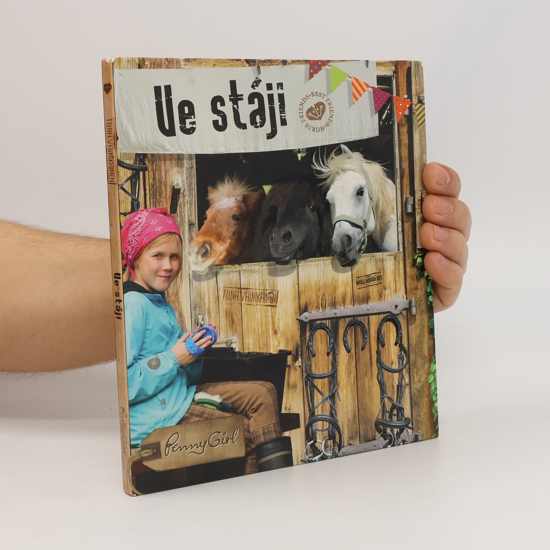 Tiina Vainikainen Ve stáji