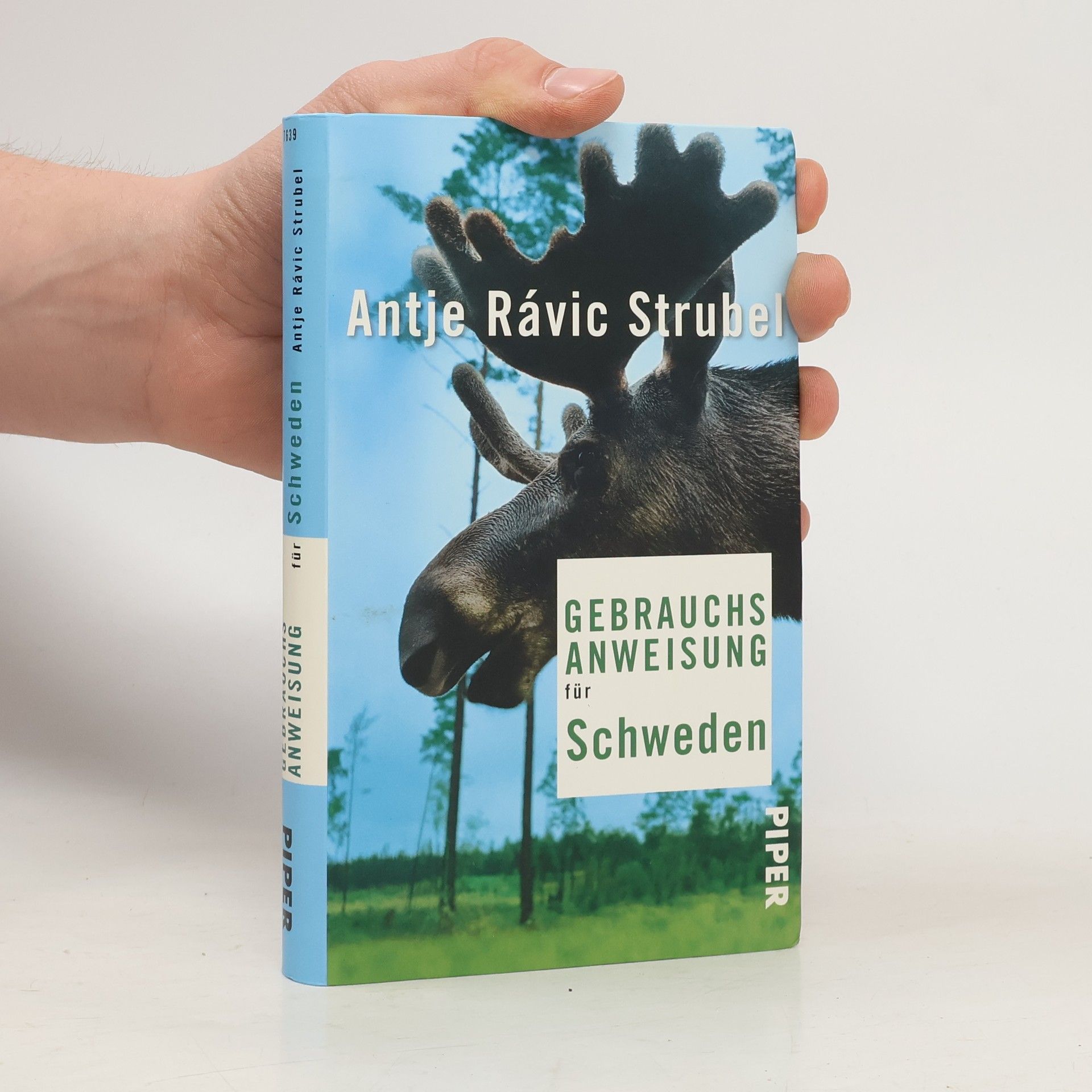 Antje Rávik Strubel Gebrauchsanweisung für Schweden