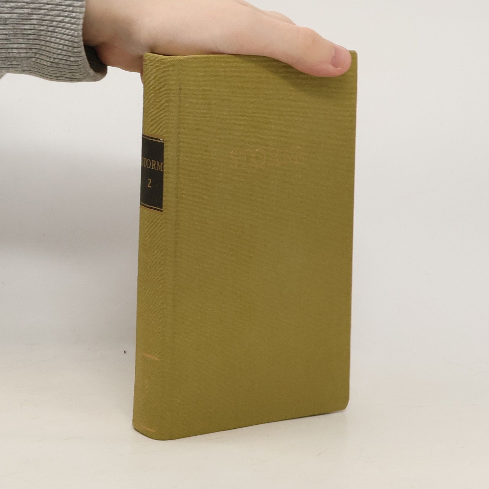 Theodor Storm Storms Werke in zwei bänden 2