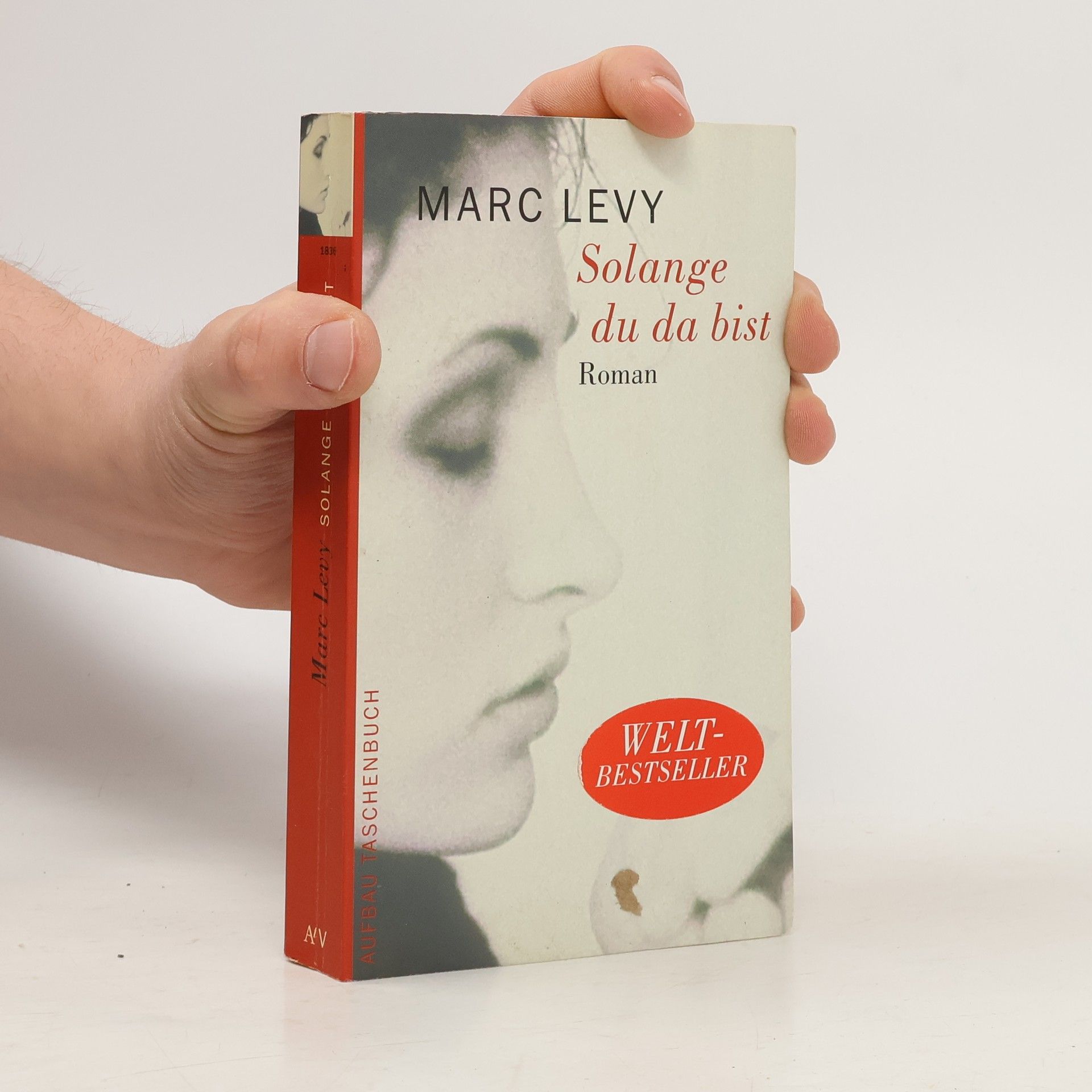 Marc Levy Solange du da bist