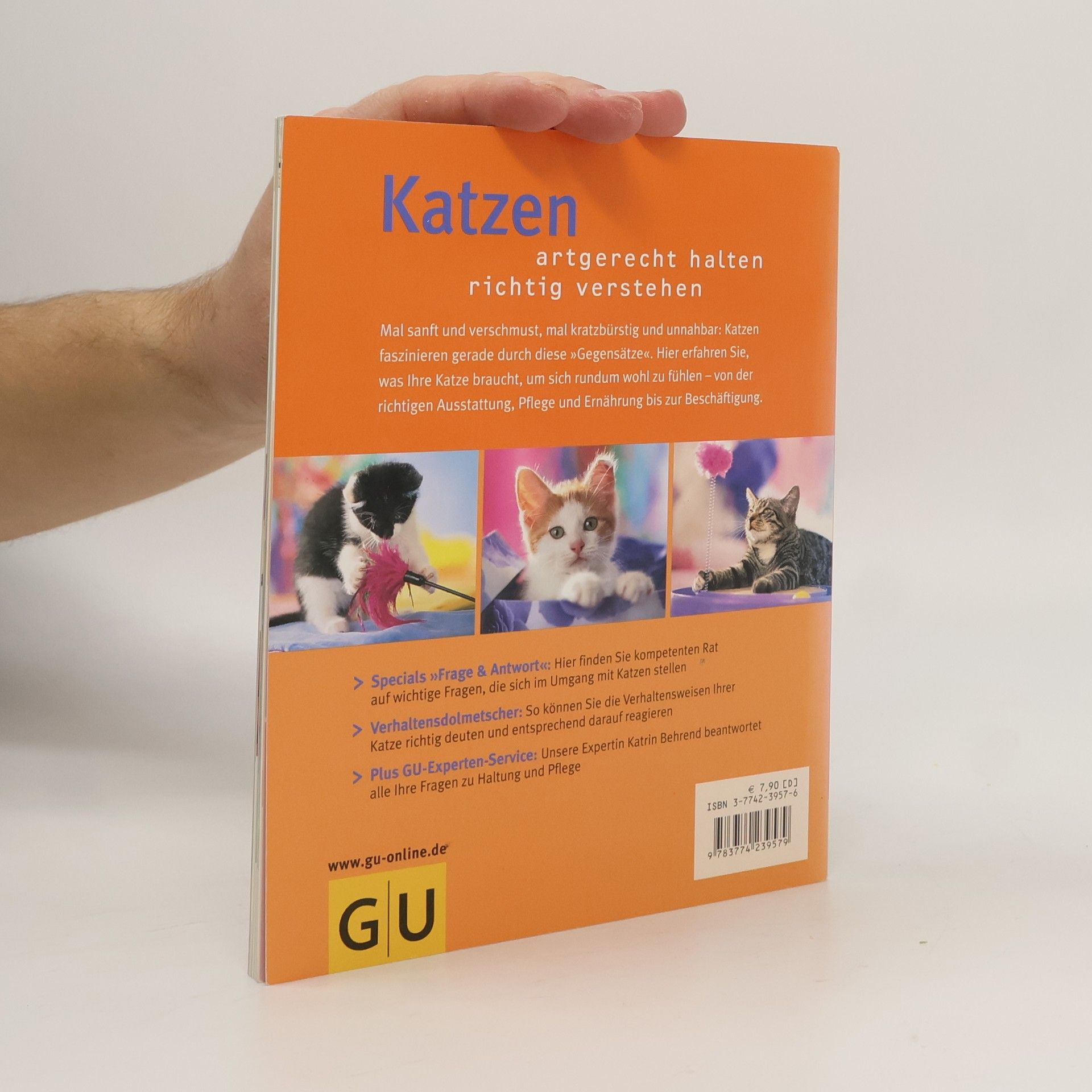 Katrin Behrend Katzen