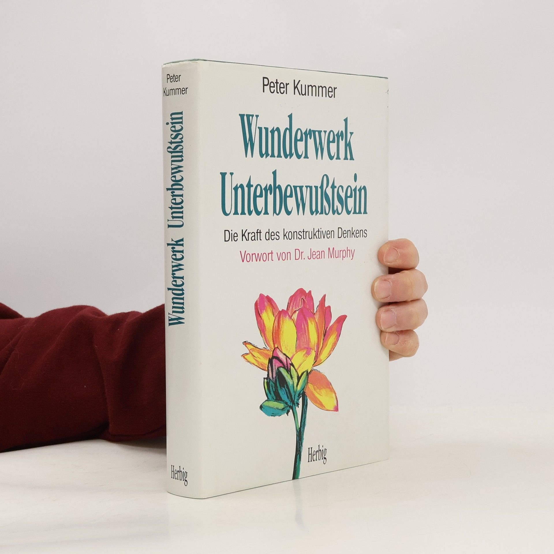 Peter Kummer Wunderwerk Unterbewusstsein