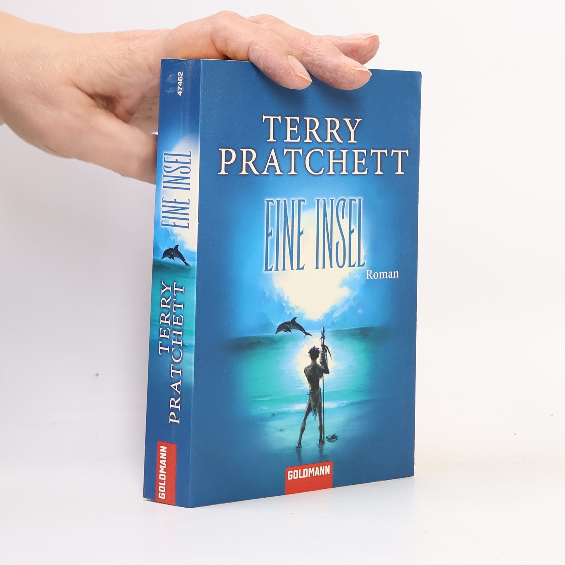 Terry Pratchett Eine Insel