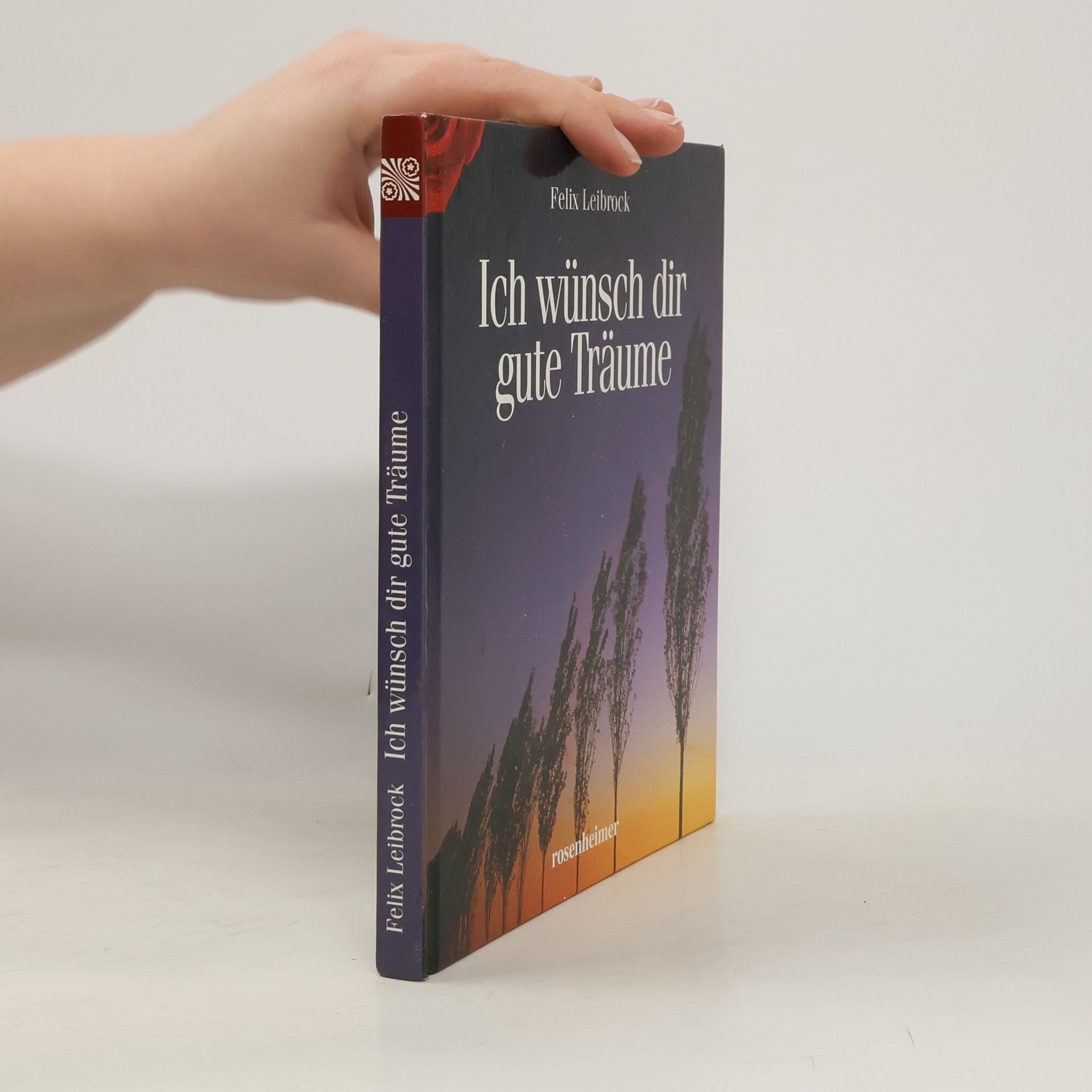 Felix Leibrock Ich wünsch dir gute Träume