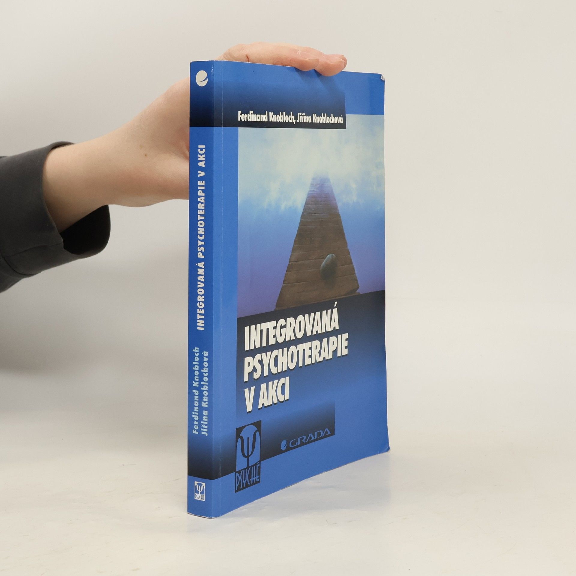 Integrovaná psychoterapie v akci