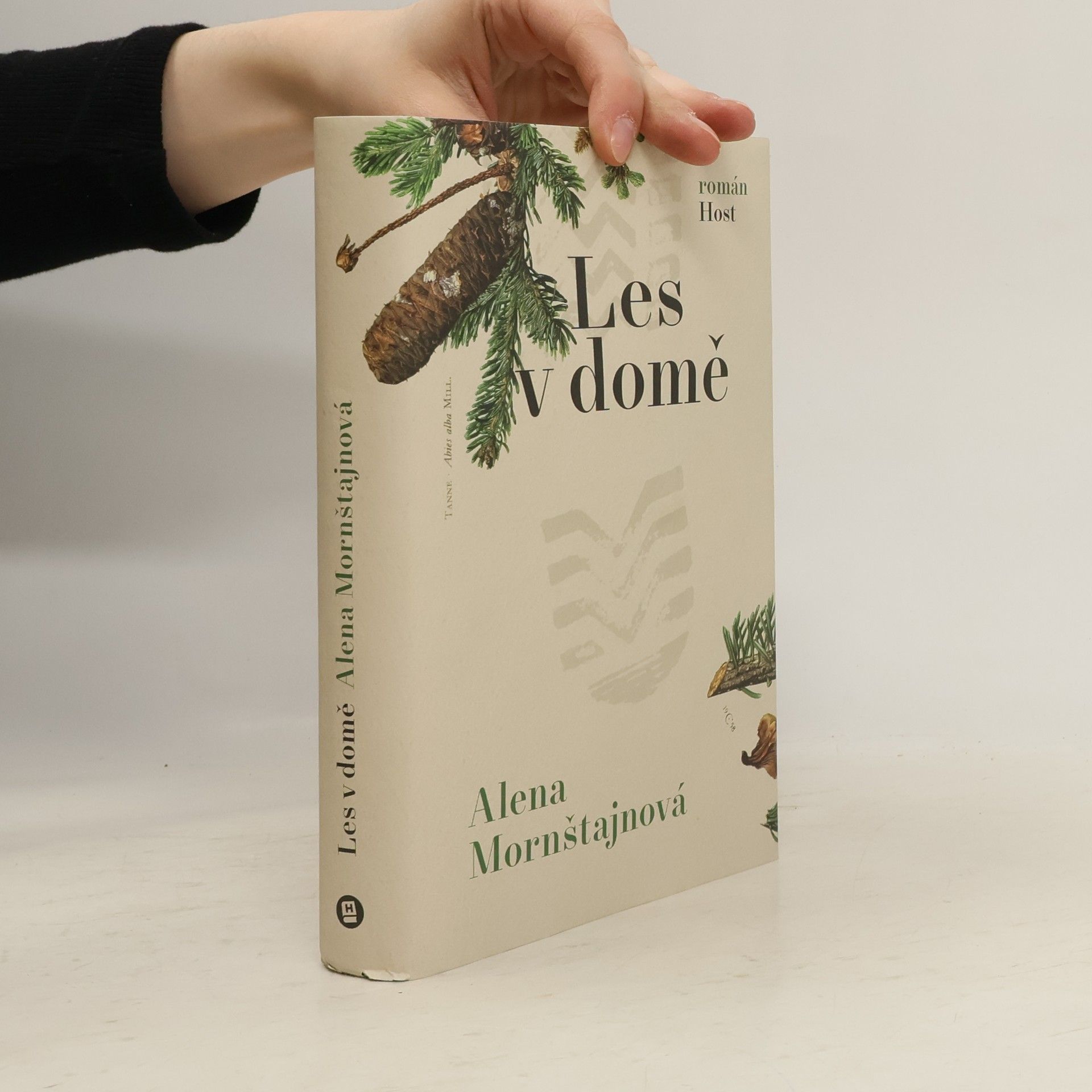 Alena Mornštajnová Les v domě