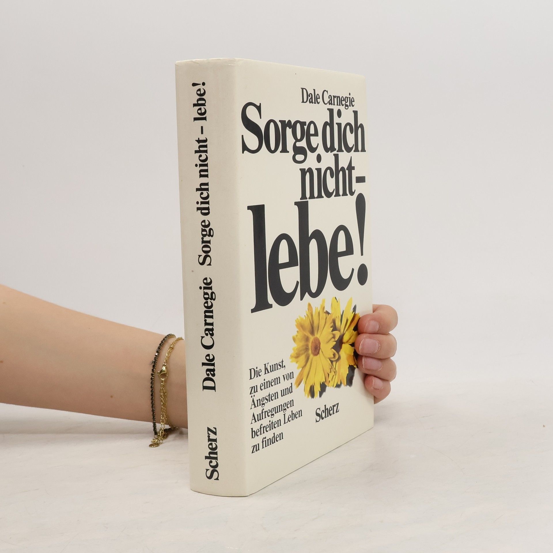 Dale Carnegie Sorge dich nicht - lebe!