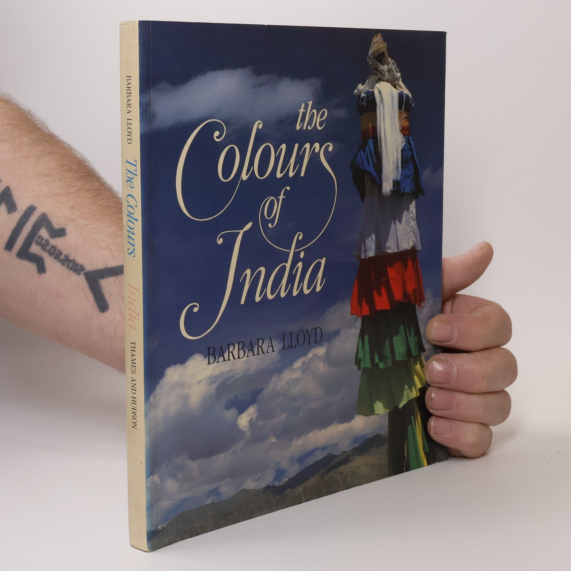 Barbara Lloyd The Colours of India