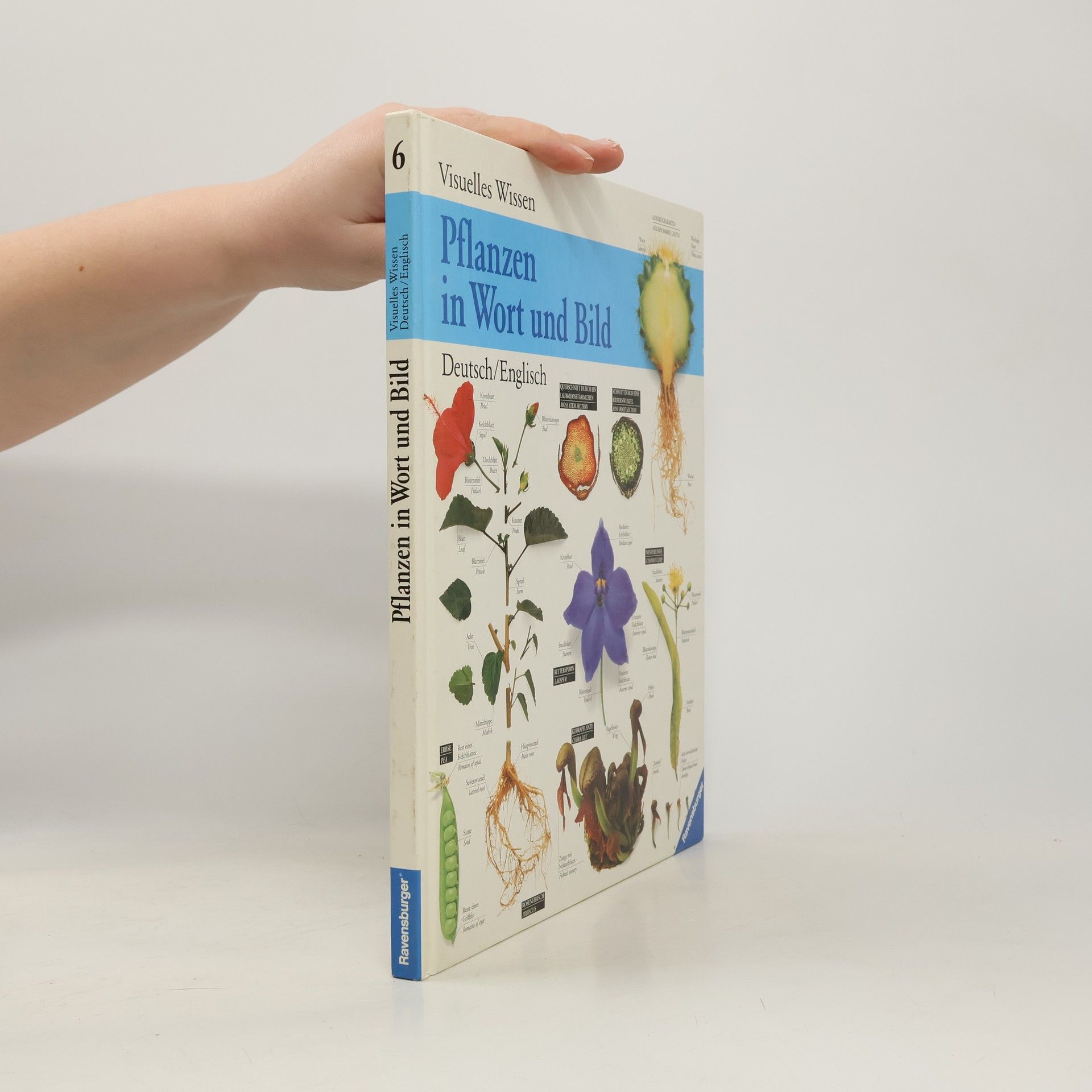 Johanna Huber Das Buch der Kinderbeschäftigungen