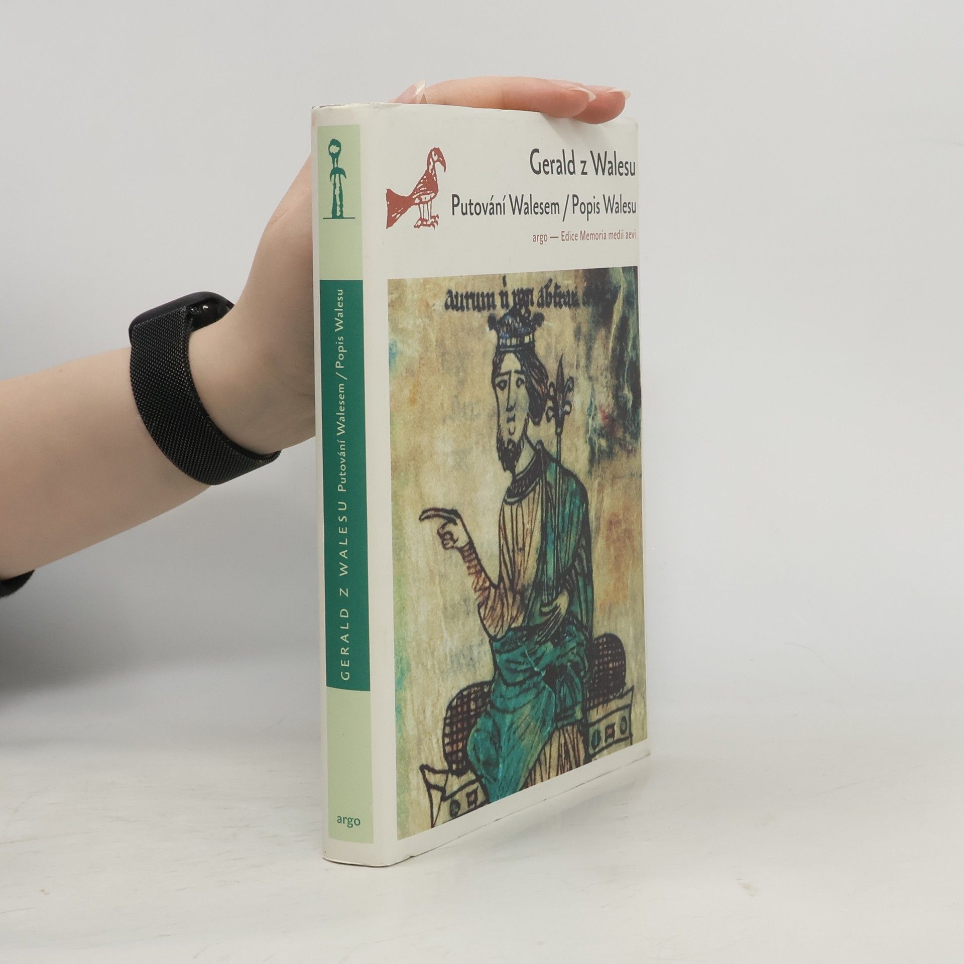 Walesu Gerald z Putování Walesem / Popis Walesu